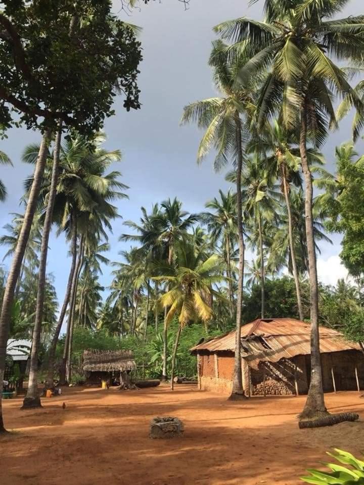 RiccArDella House Rafiki Tamu
