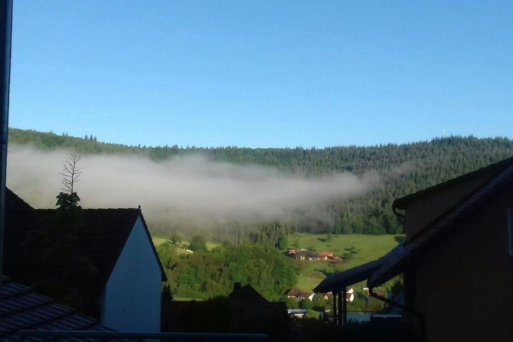 Ferienwohnung Talblick im Schwarzwald