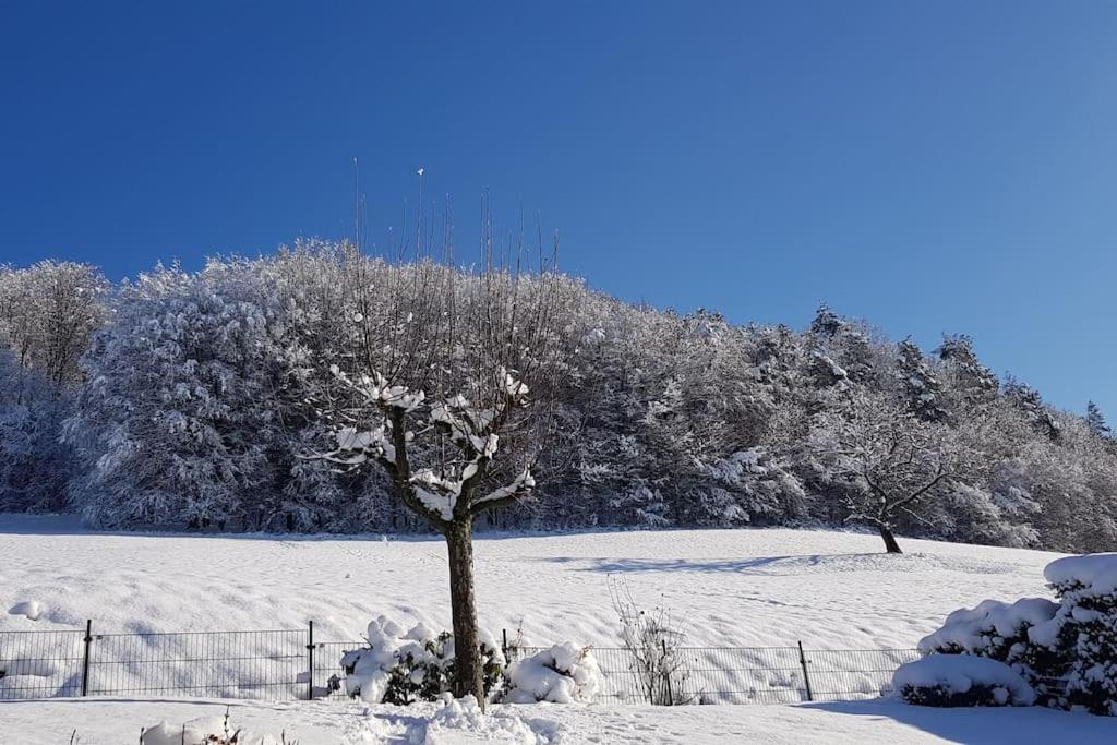 Ferienwohnung Talblick im Schwarzwald