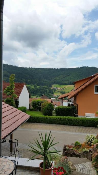Ferienwohnung Talblick im Schwarzwald