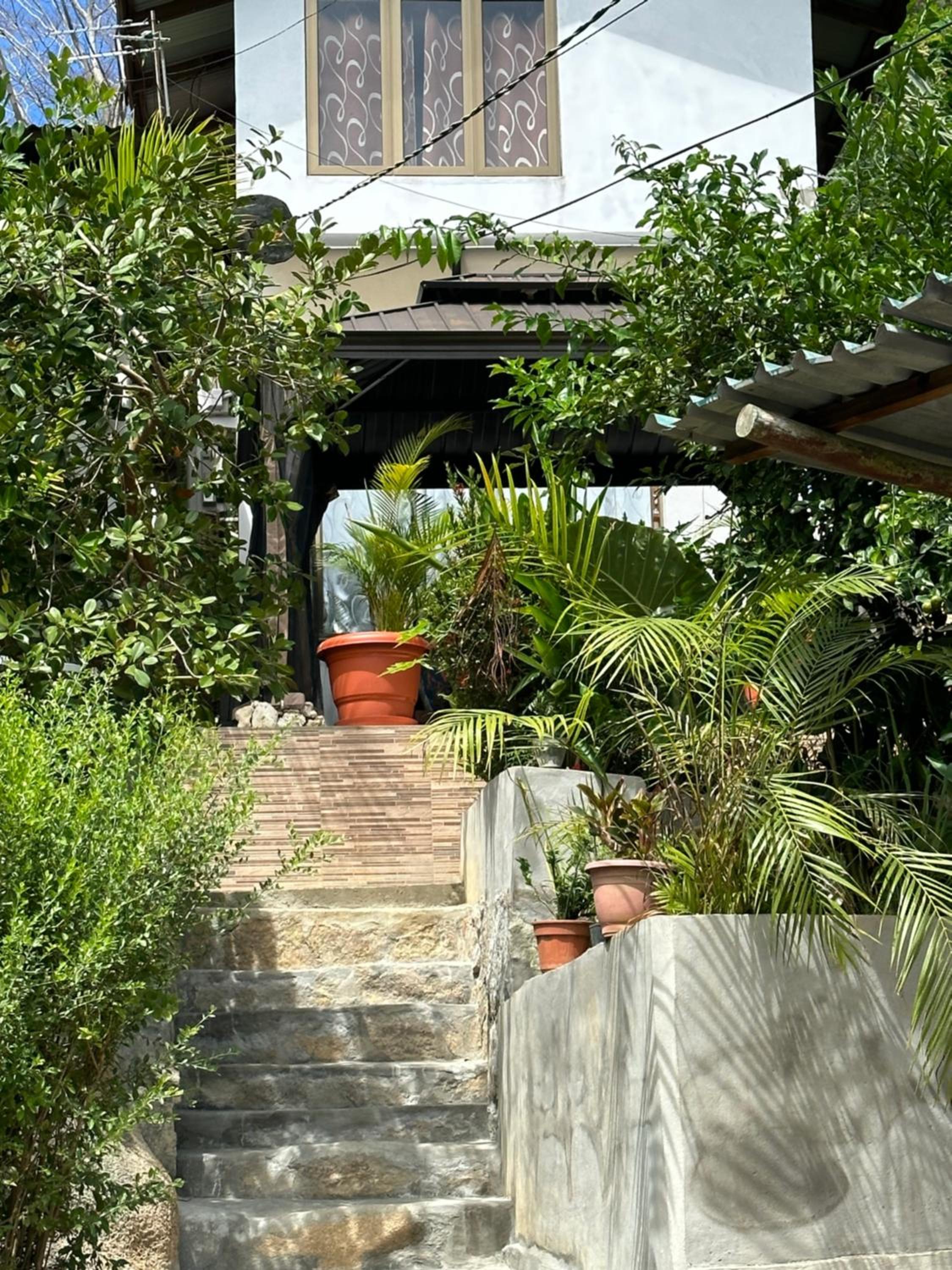 Photo 29