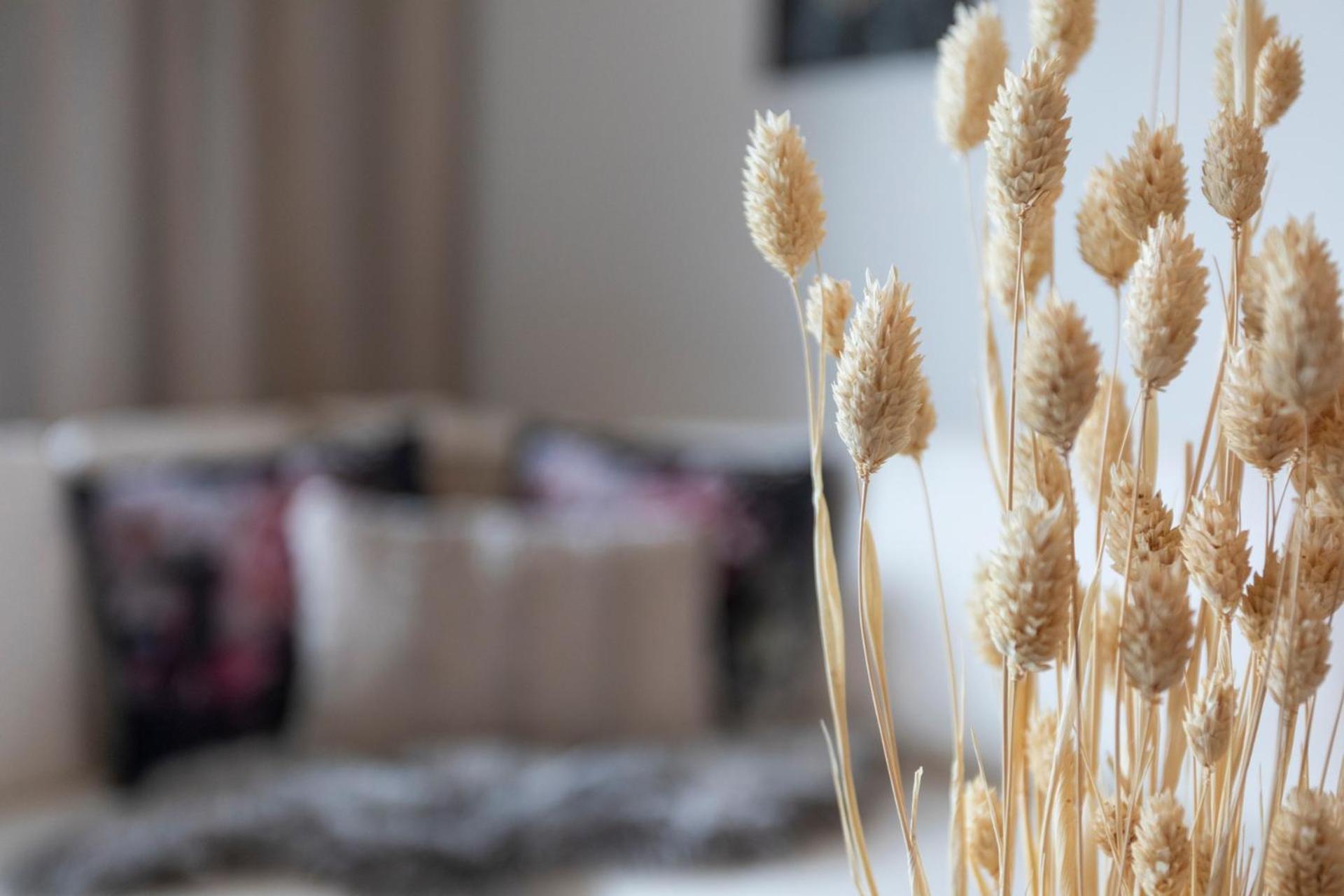 Vasko luxurious suites, Hiisi