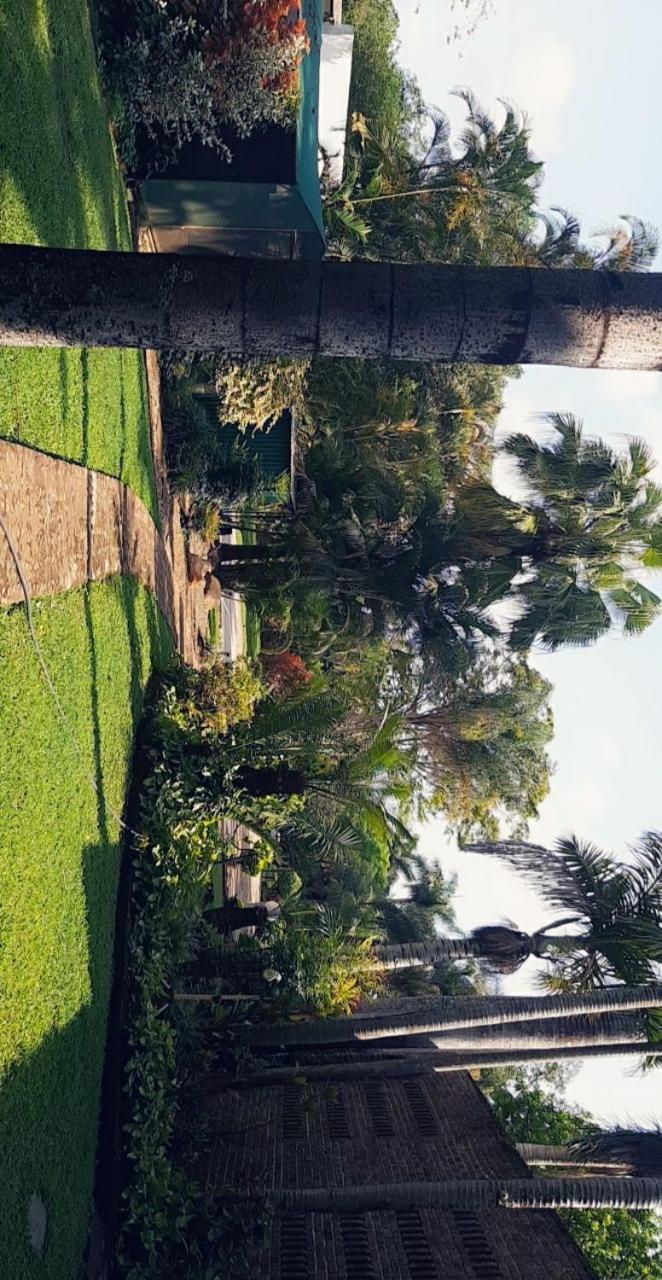 Koppie Allen guest house view 2