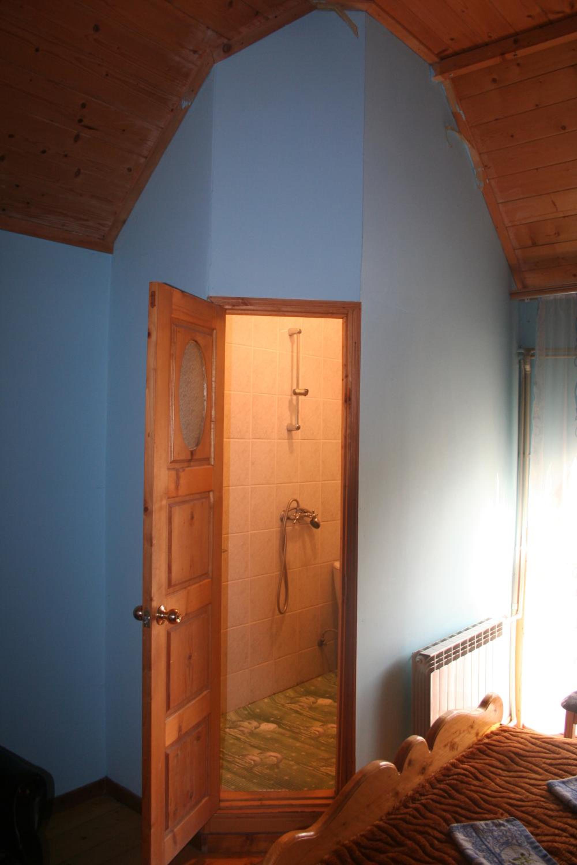 Guest house Dvir Pysanka, photo 78