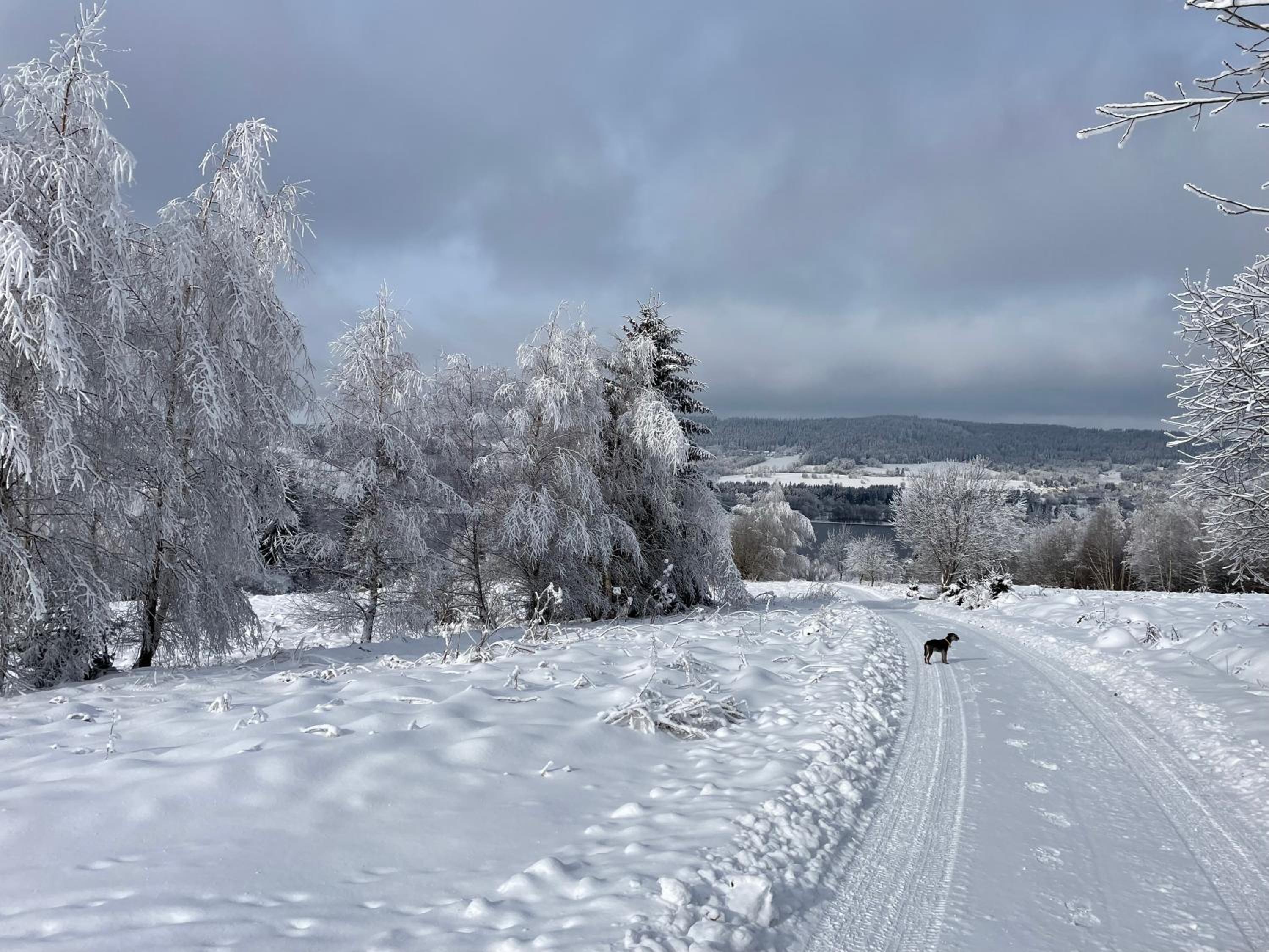 Apartmány HÁJOVNA Lipno