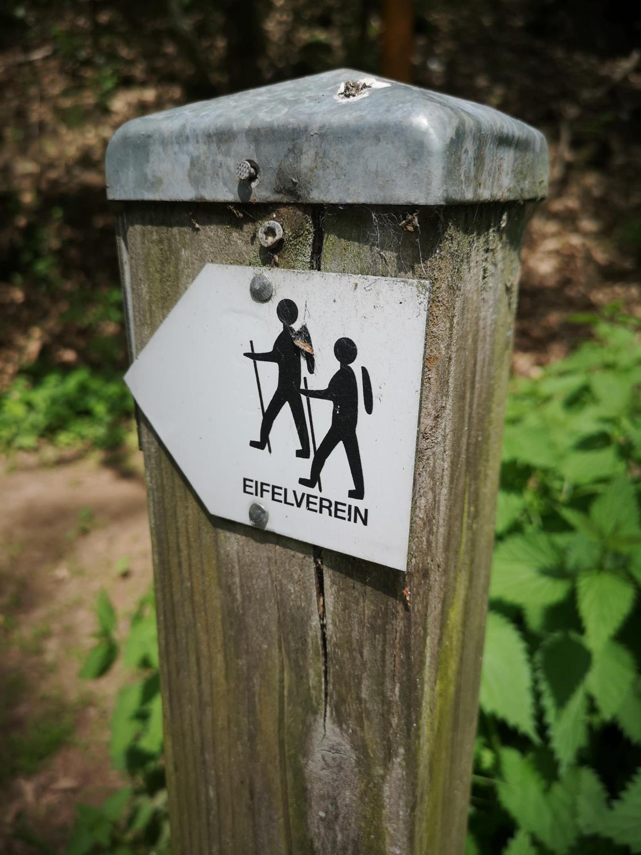 Ferienwohnung in Waldrandlage in Nationalpark Schleiden / Eifel