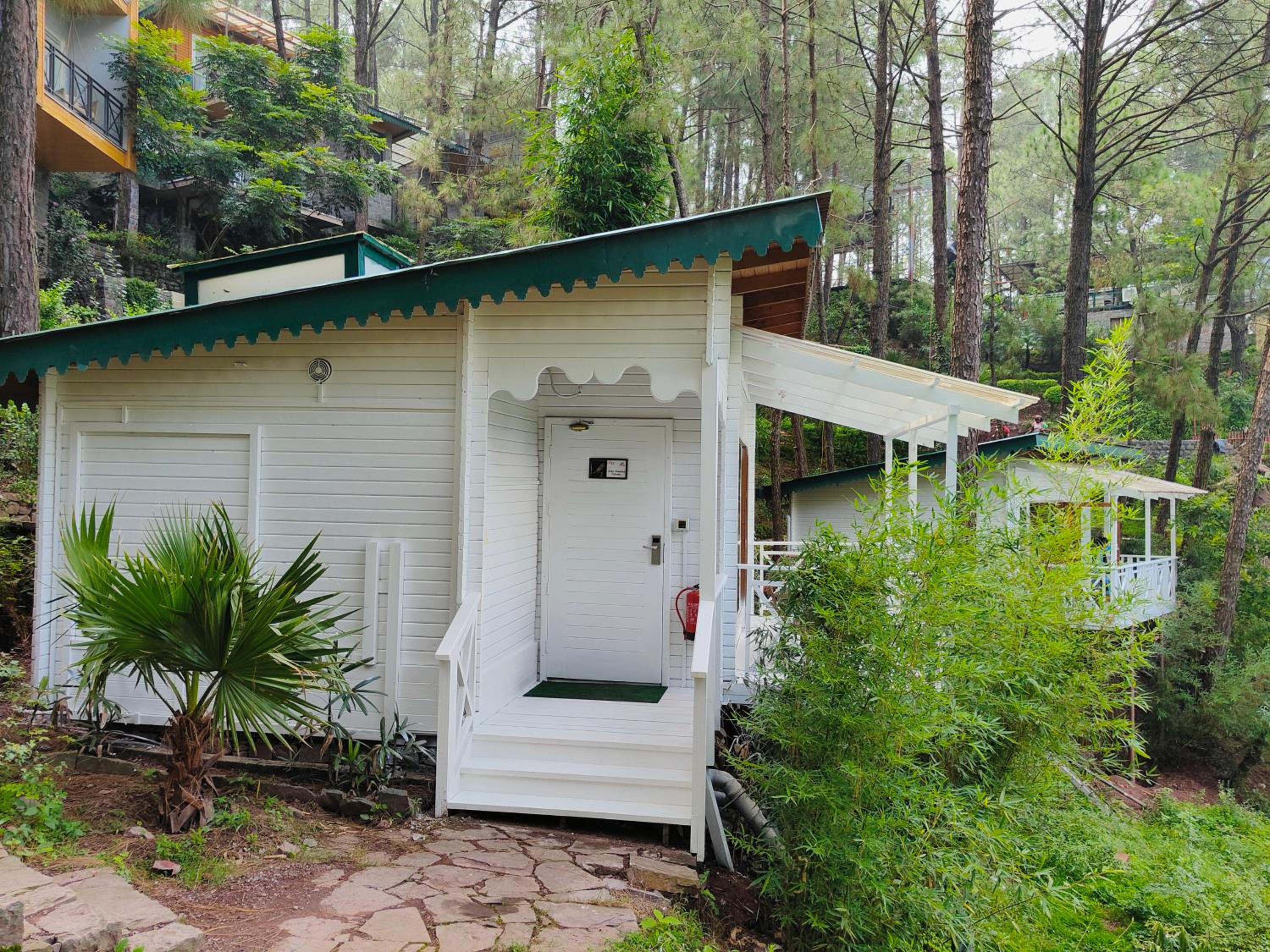 Kasauli Hills Resort view 2