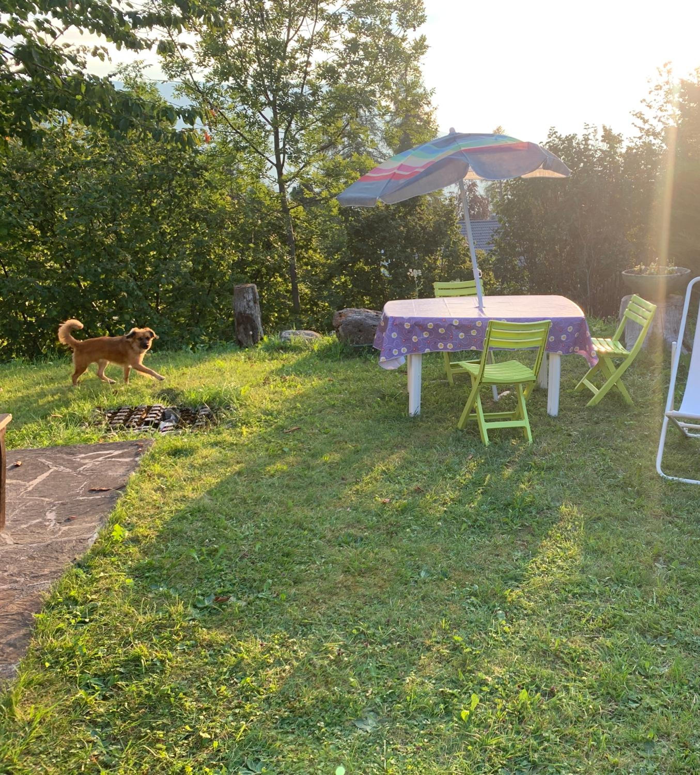 Photo 22
