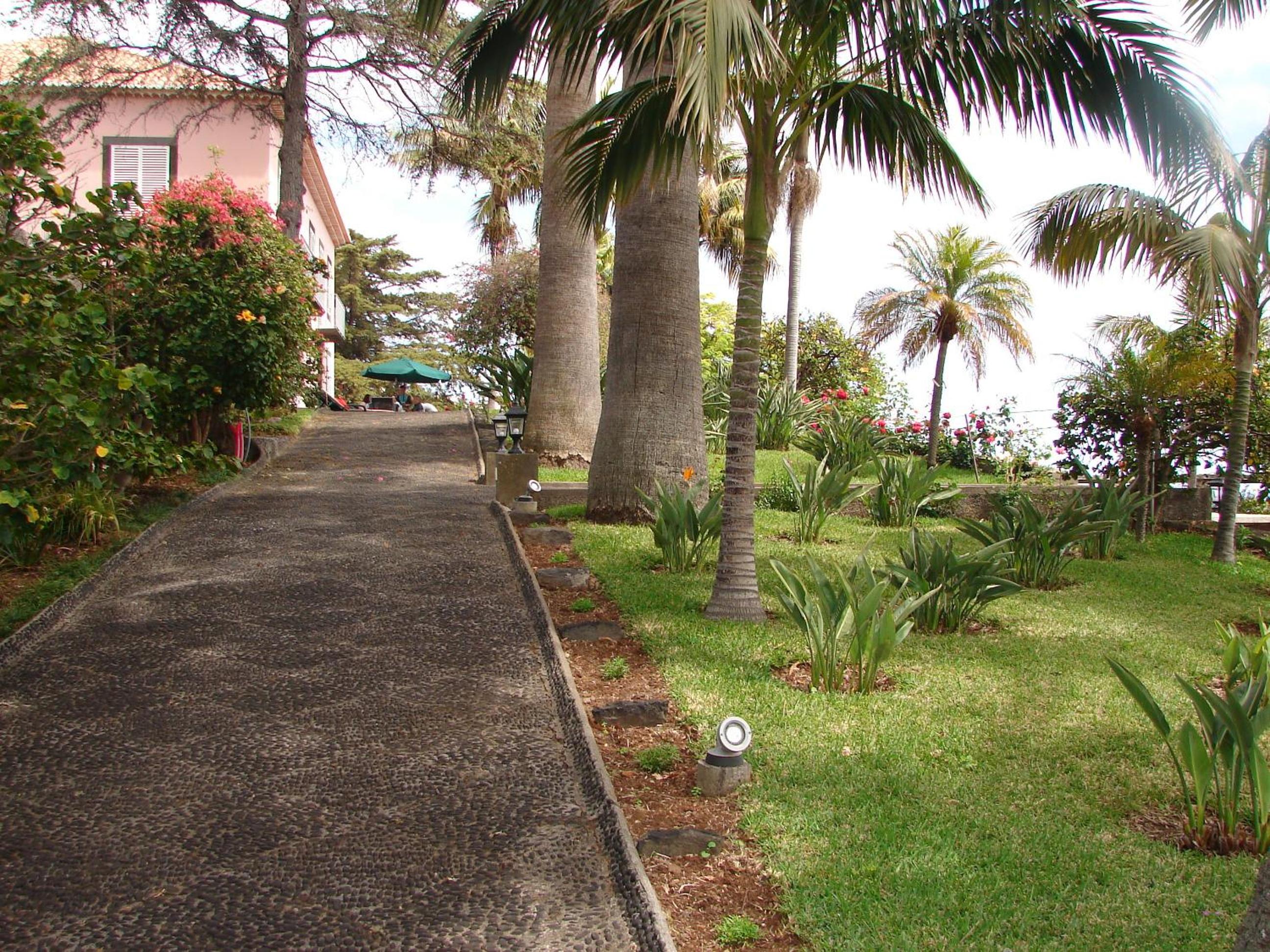 Photo 46