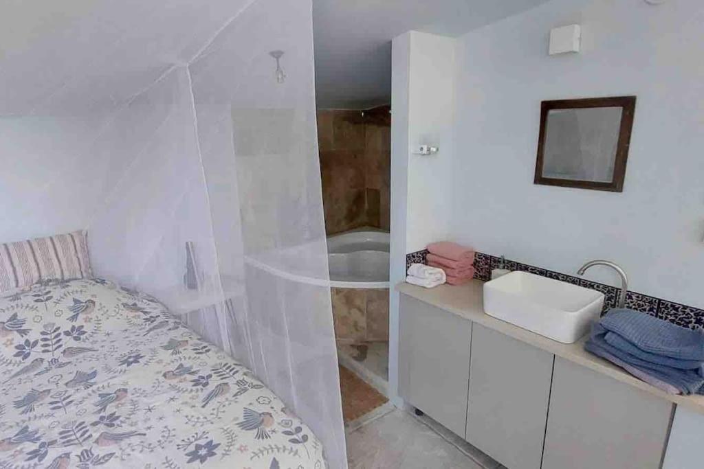 Passiflora Suite