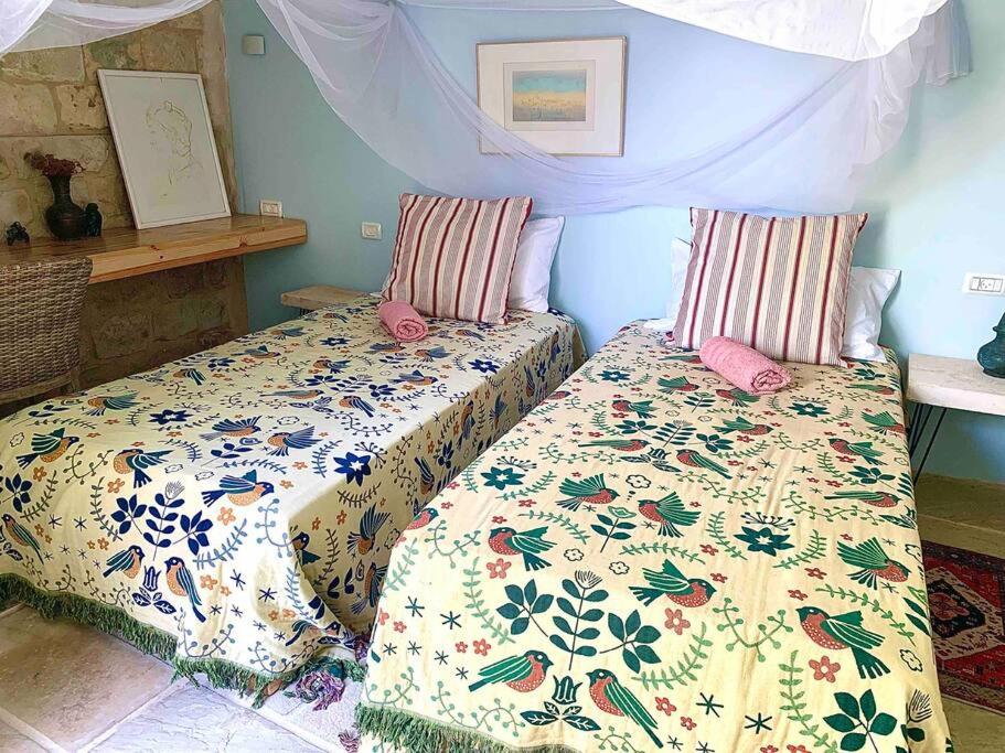 Passiflora Suite