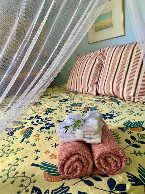Passiflora Suite