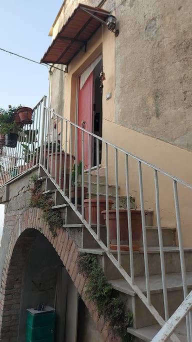 La cupola dei sogni