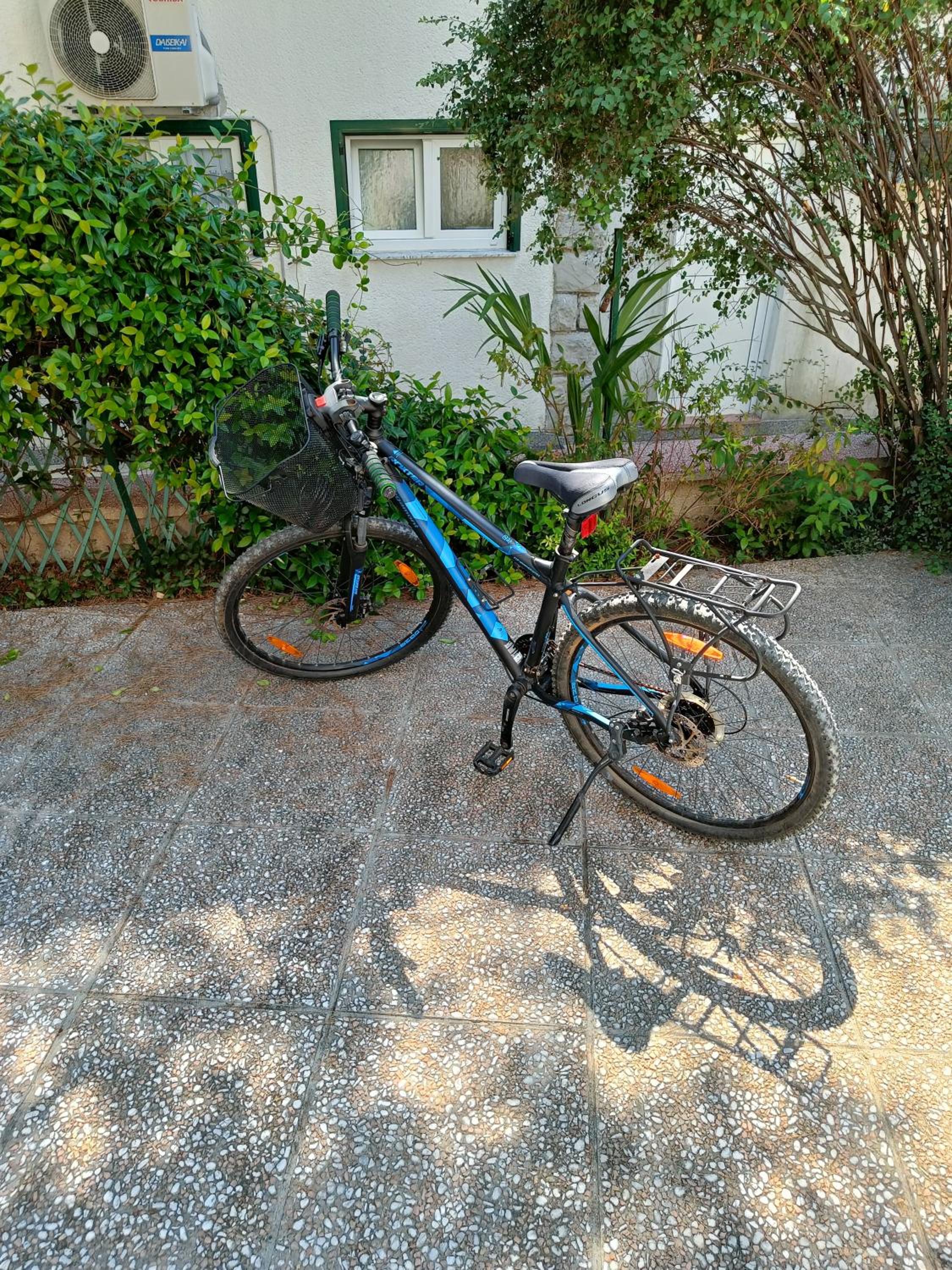 Photo 7