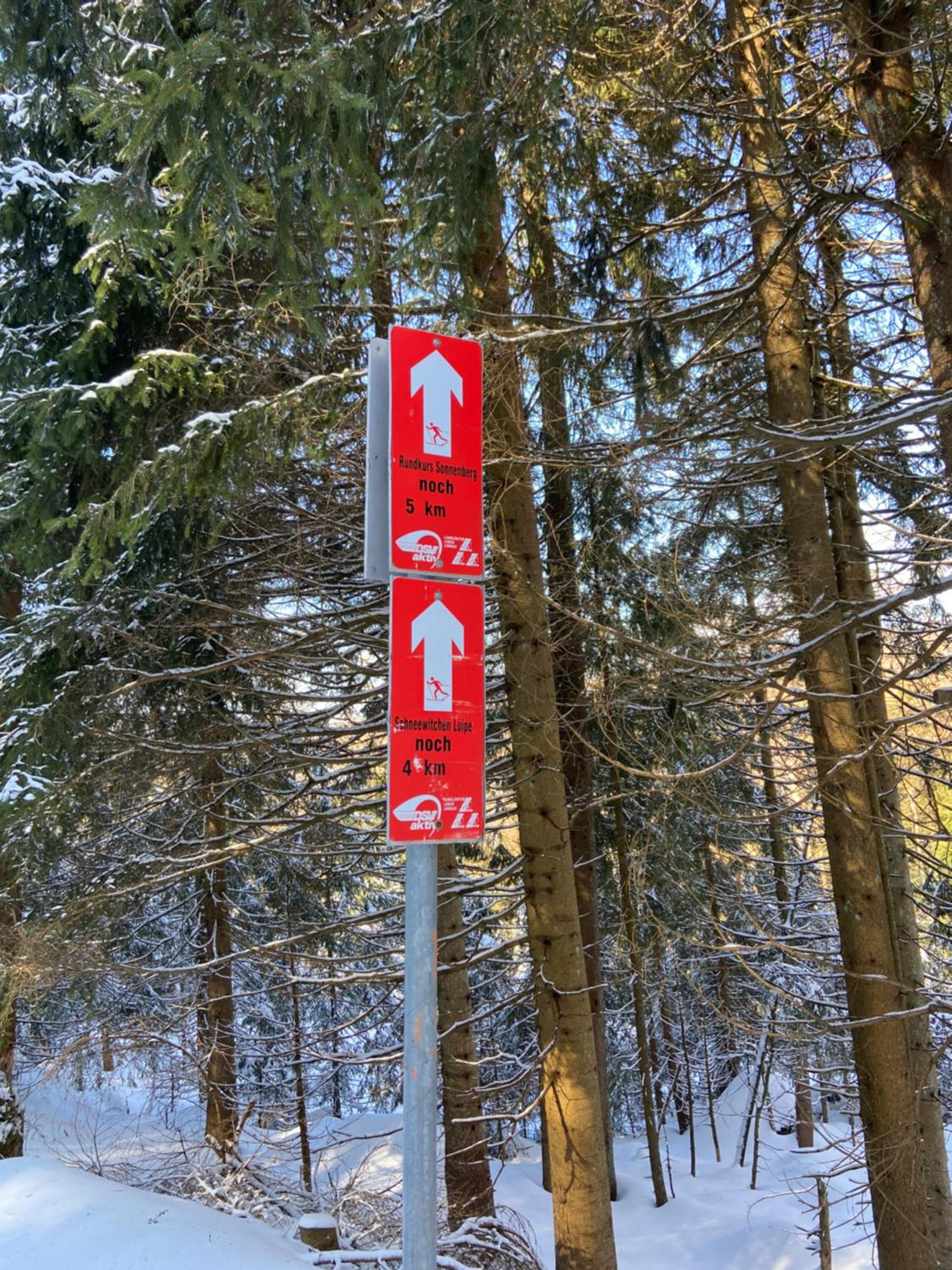 Harzpur Lodge - Pure Entspannung in purer Natur