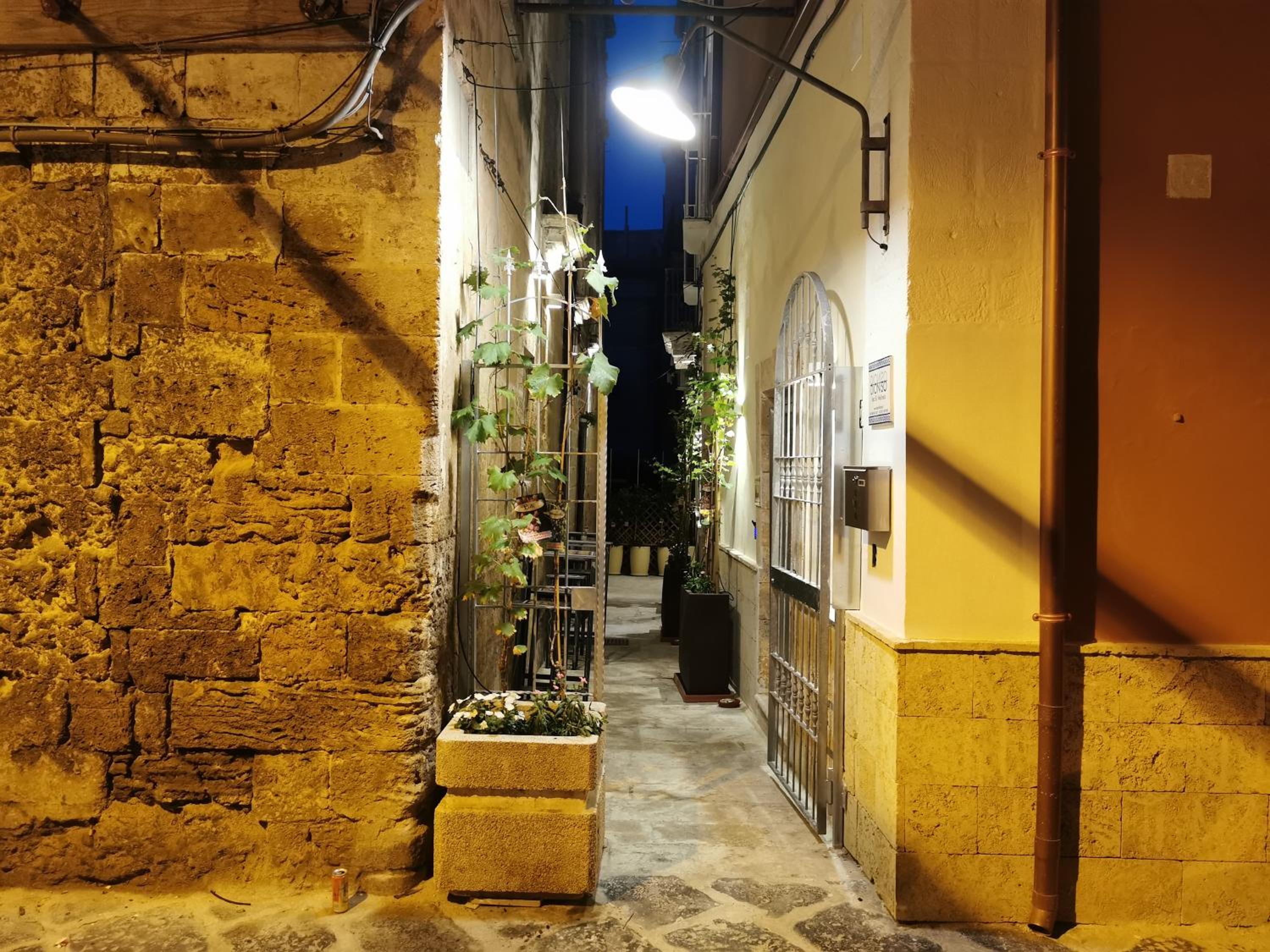 Photo 45