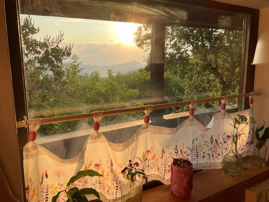 Apusenia - darul naturii view 5
