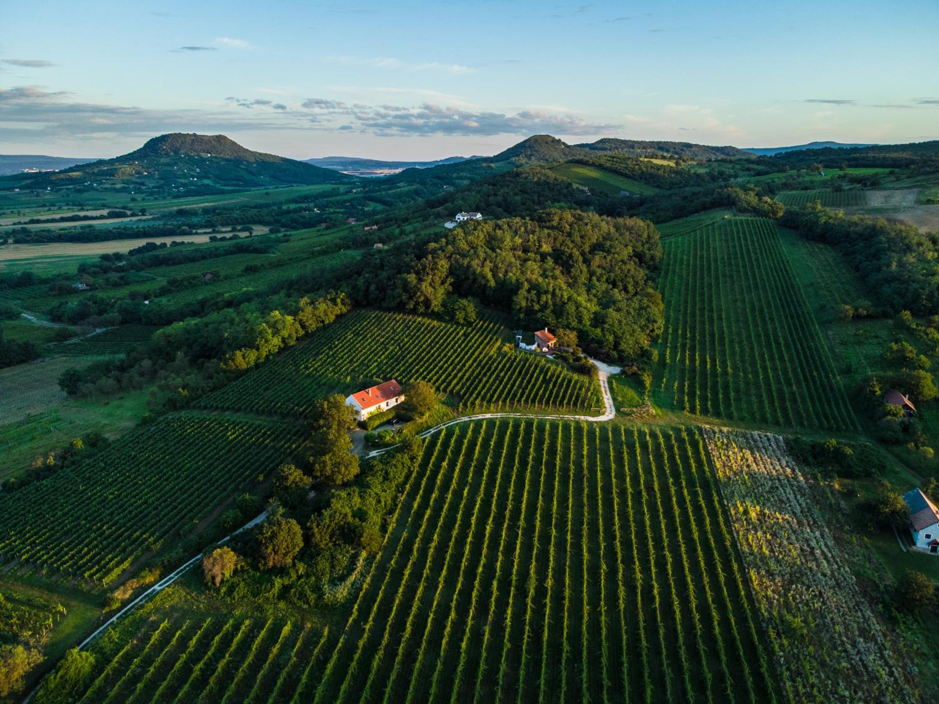 Káli Panoráma Birtok