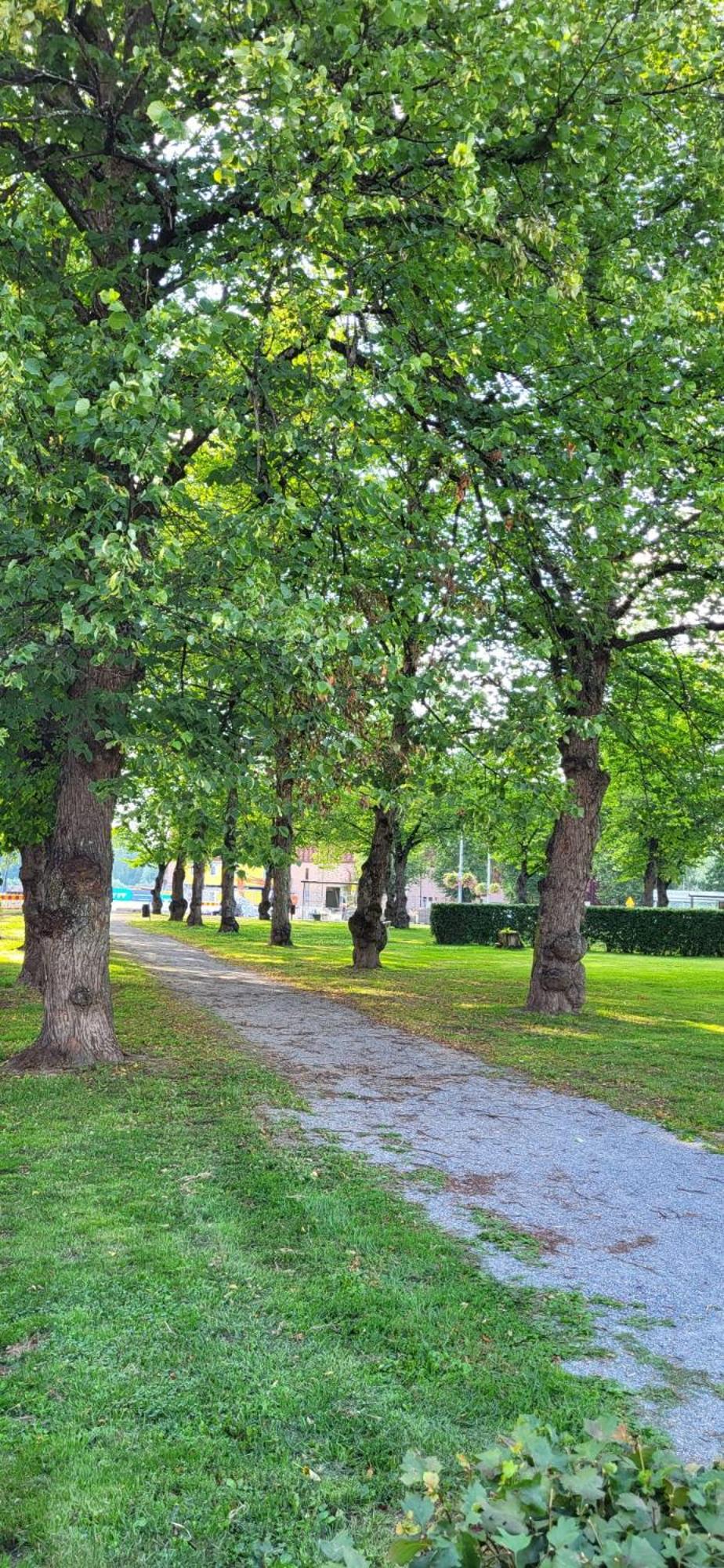 Peaceful and beautiful apartment near railwaystation and city centre