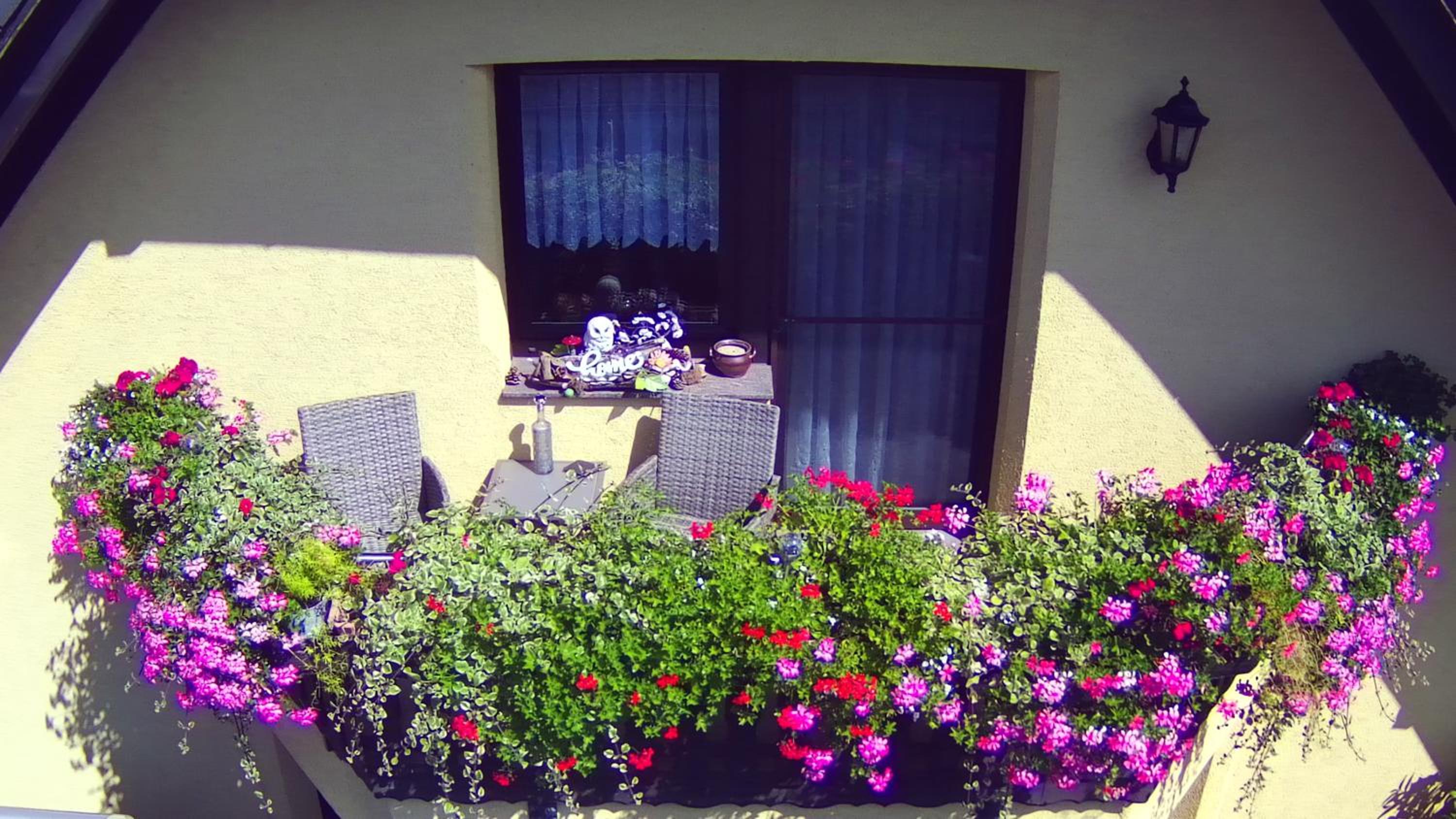 Mones Monteur- und Ferienwohnung - Property Image 3