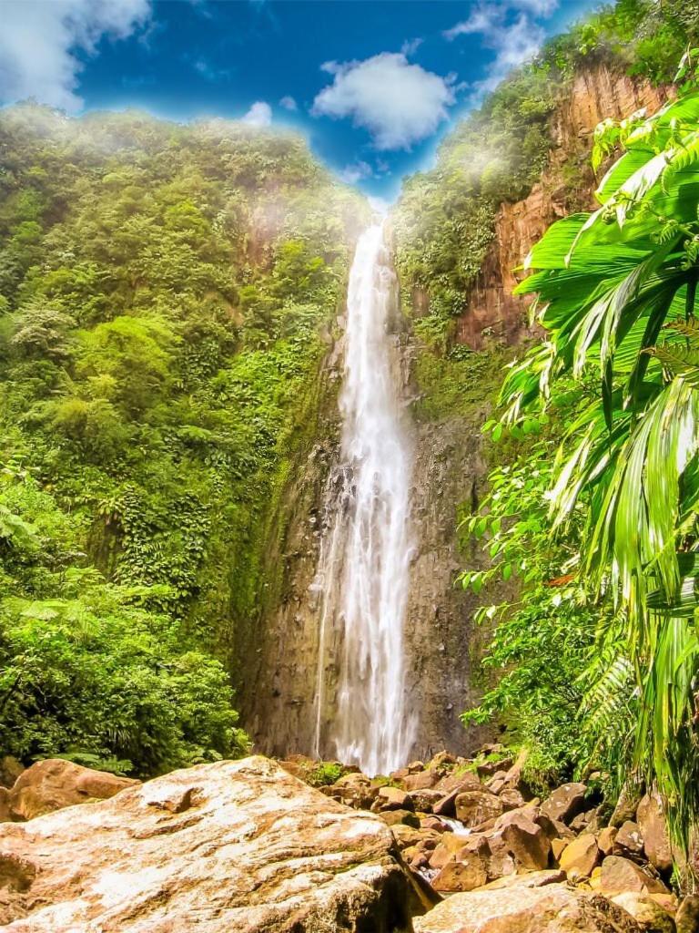 RIVER PARADISE