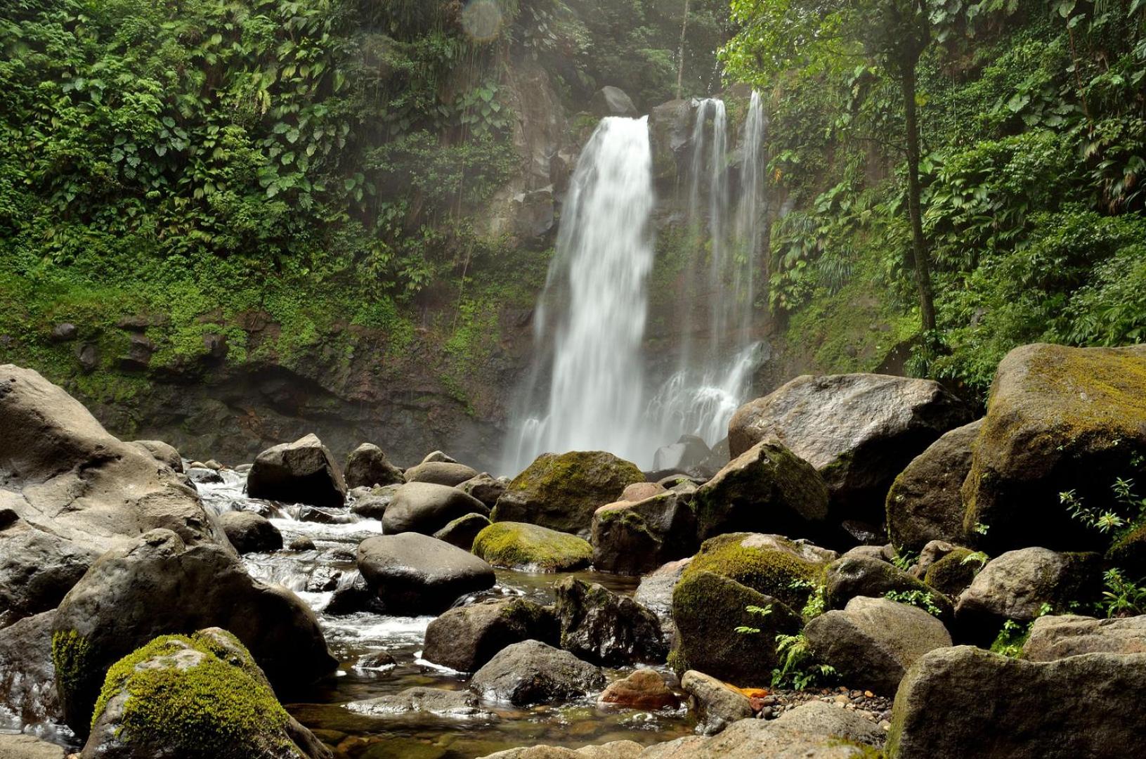 RIVER PARADISE