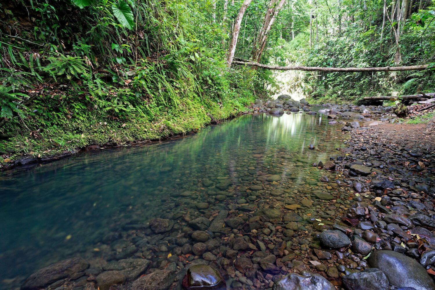 RIVER PARADISE