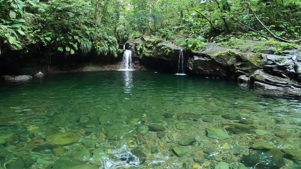 RIVER PARADISE