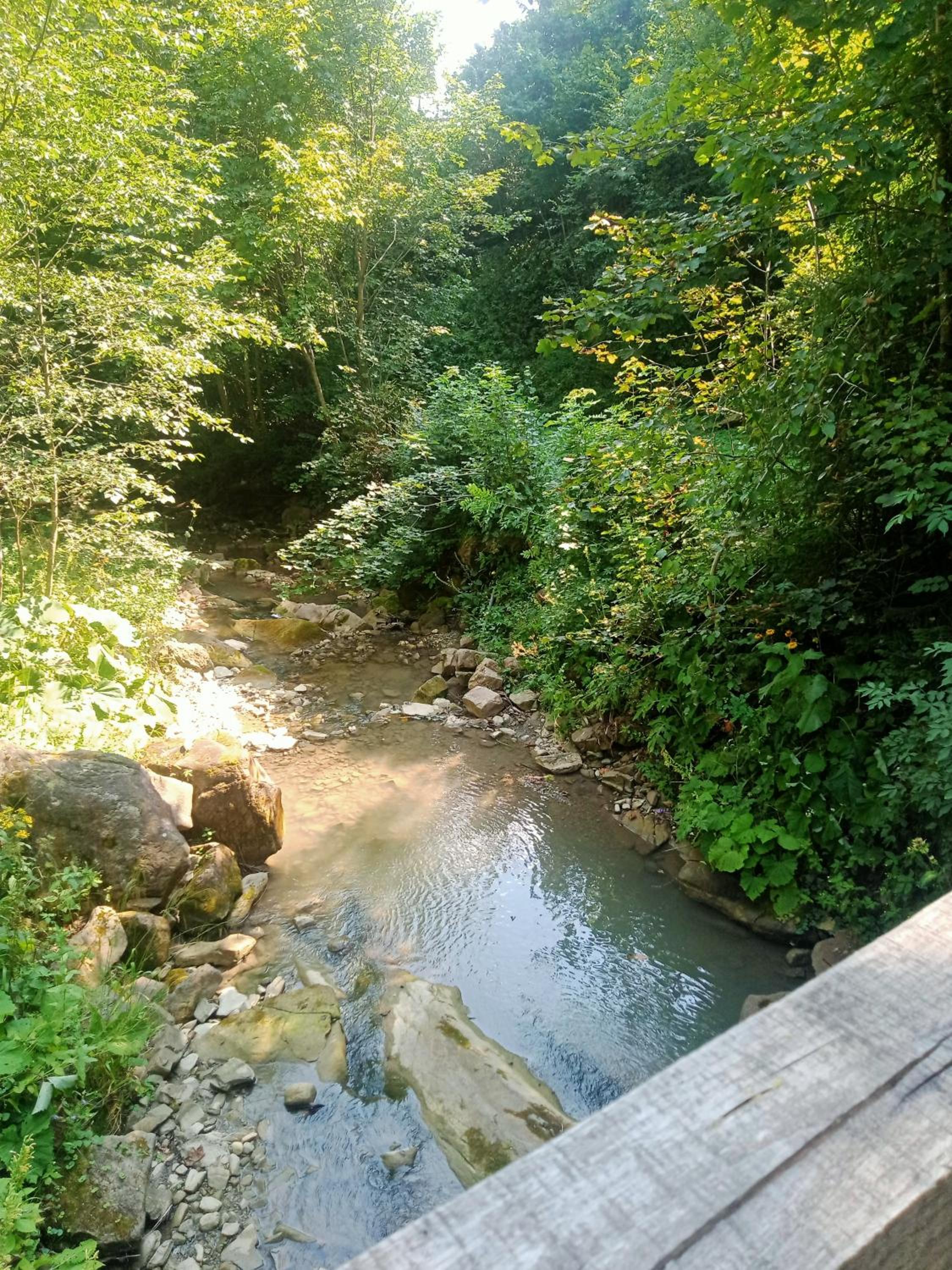 Photo 41