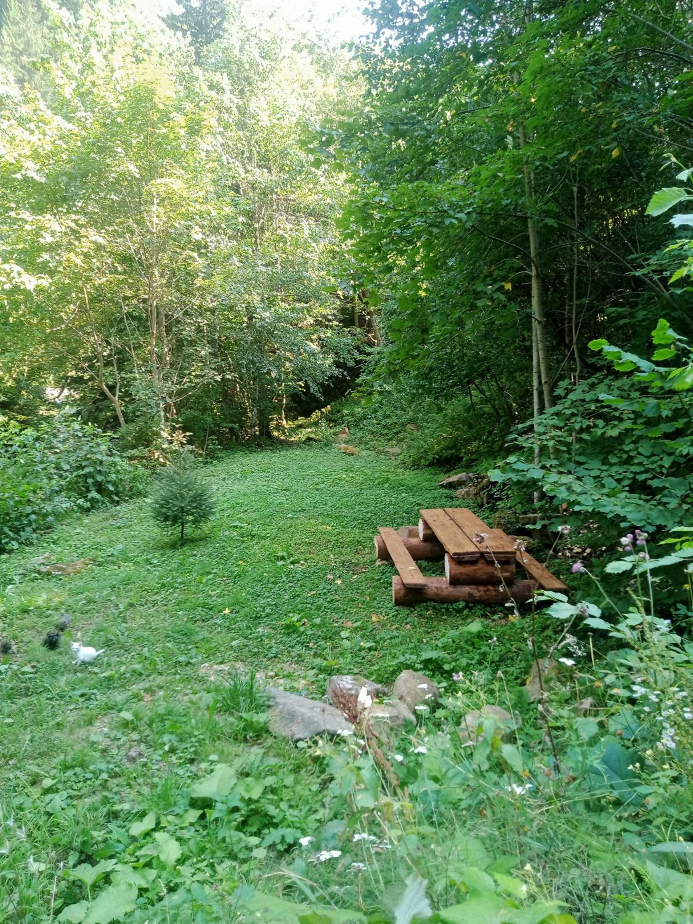 Photo 40