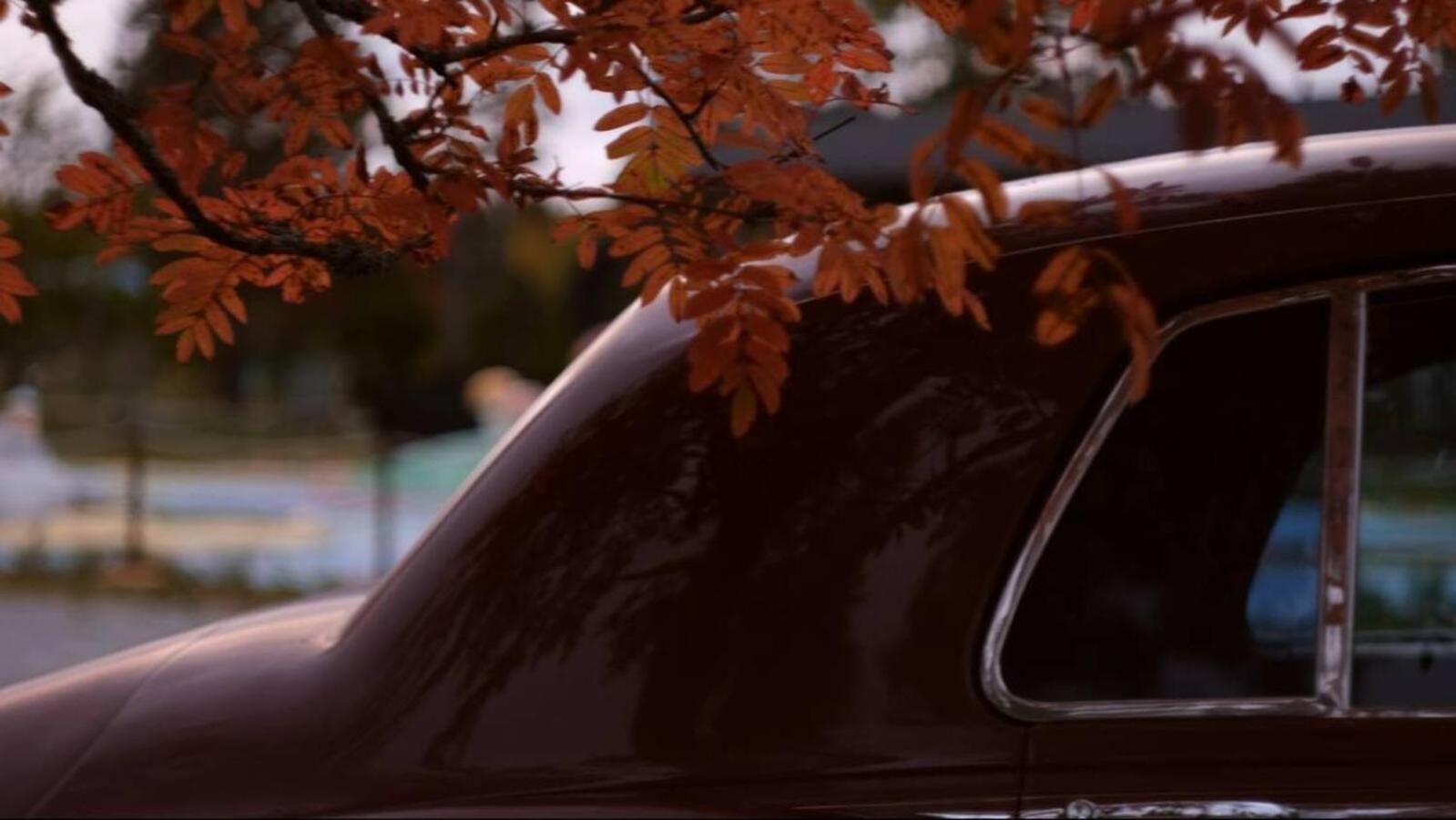 Photo 88