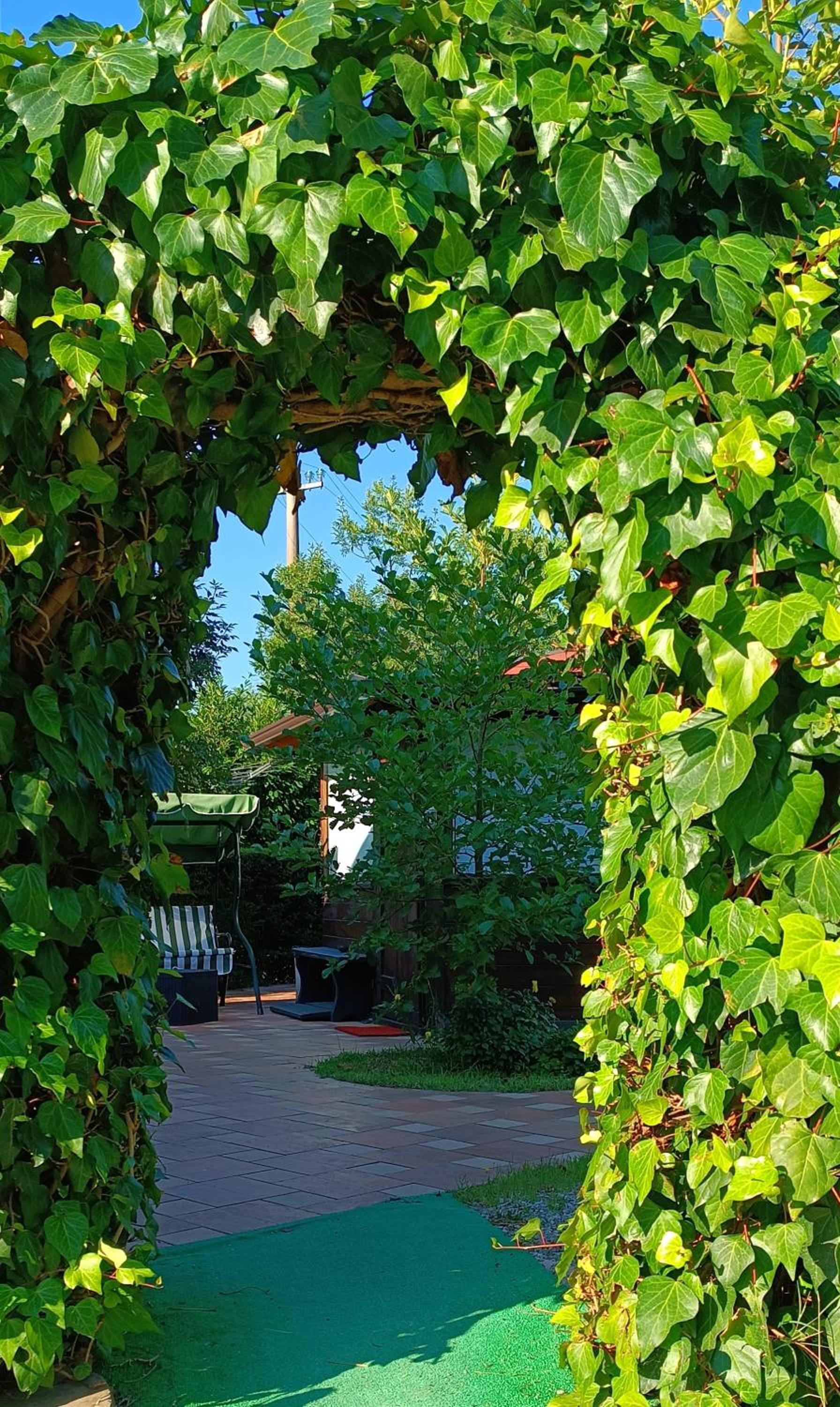 Photo 9
