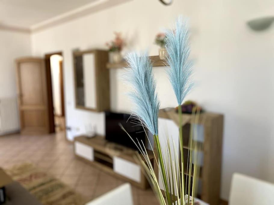 Appartamento in Villa a Marina di Massa