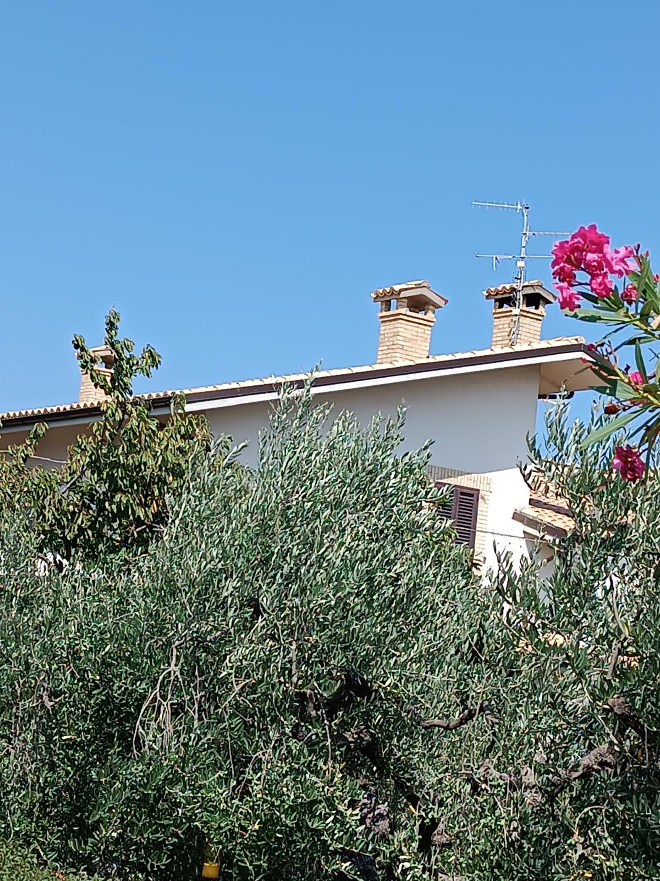 B&B "LE LUCI" SUPER CAMERA IN ATTICO interno 3 rose rosse view 4