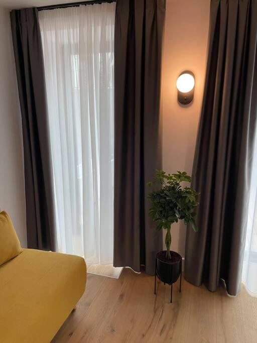 Studio Smilciu 31 view 2