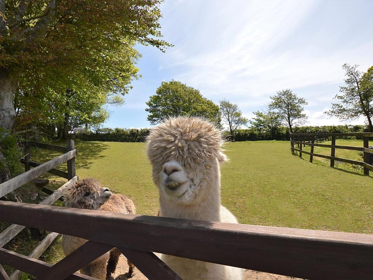 Fentrigan Manor Farm & Holiday Cottages
