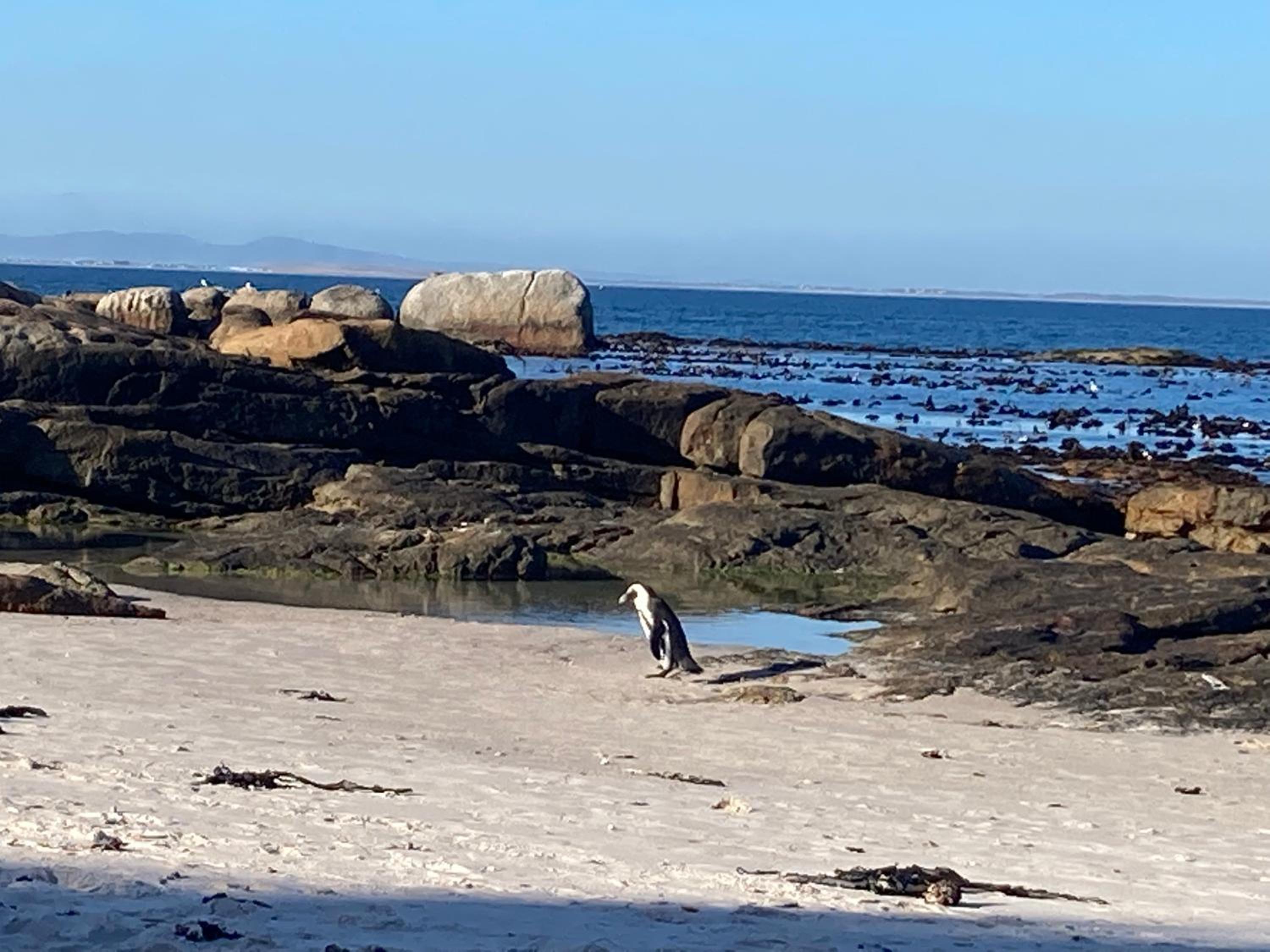 Restore your Soul, Boulders Beach, Seaforth, Simon's Town