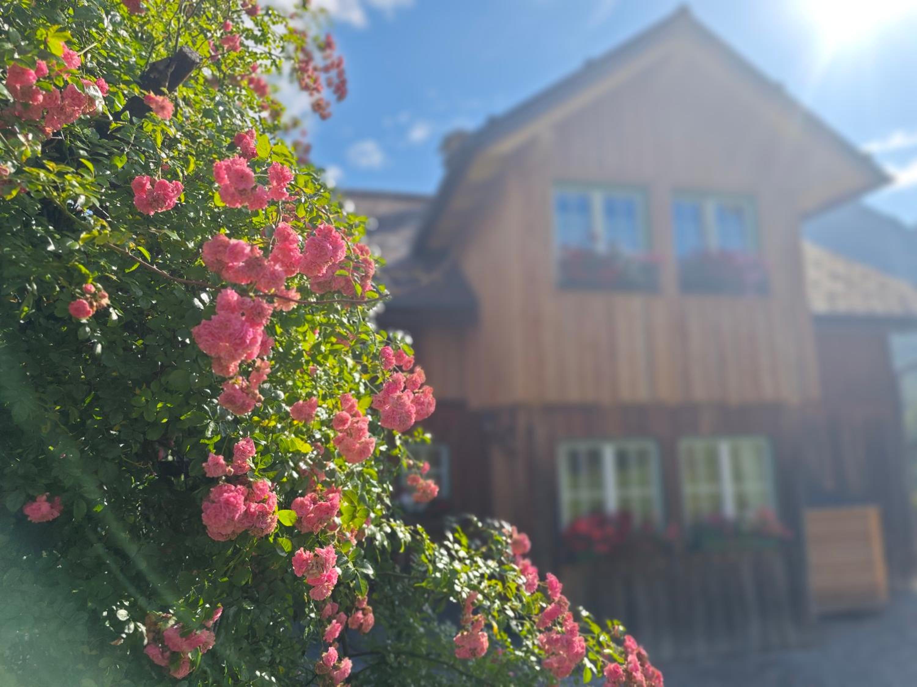 Lovely house with mountain view & big garden in Bad Aussee