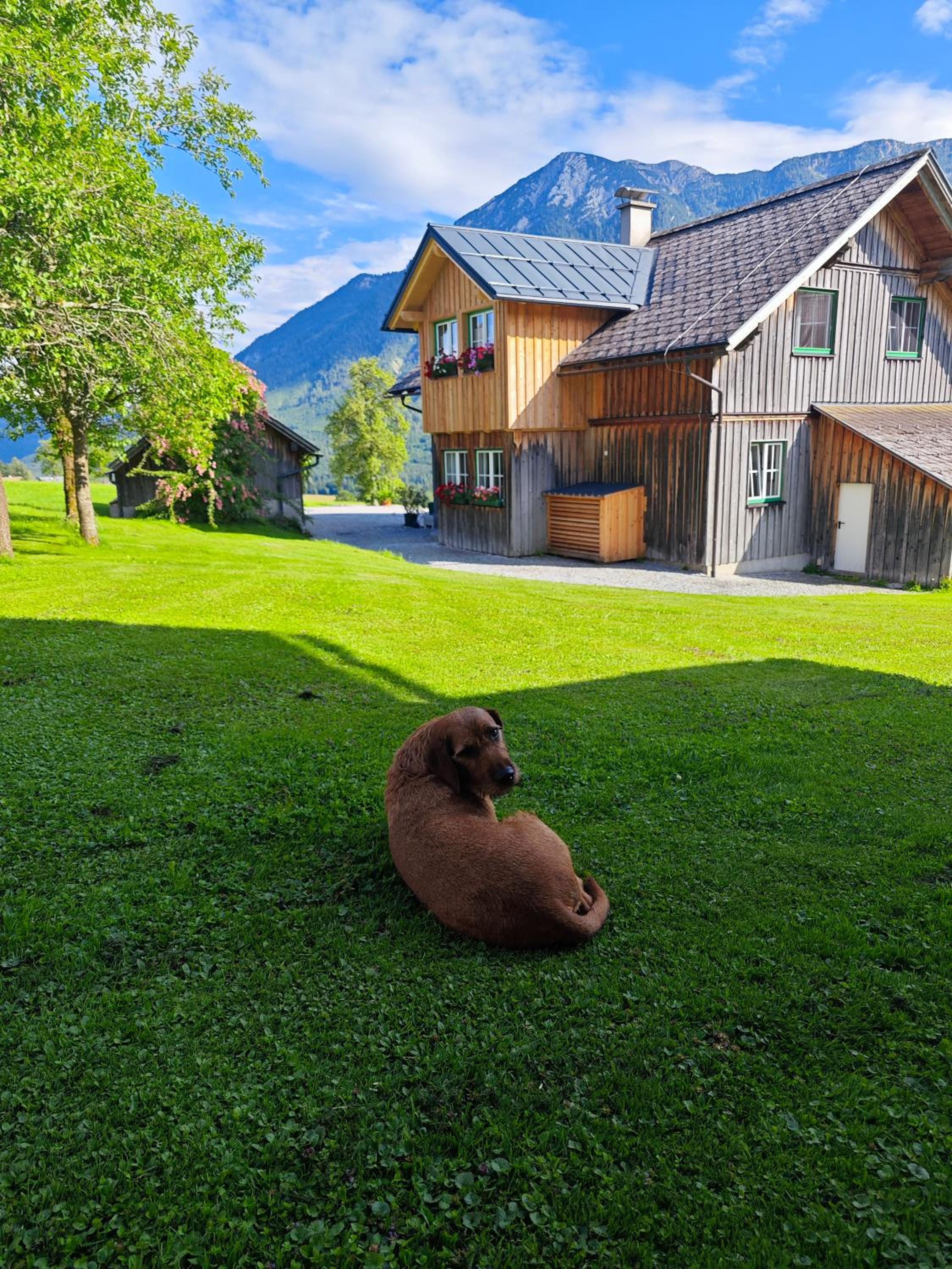 Lovely house with mountain view & big garden in Bad Aussee