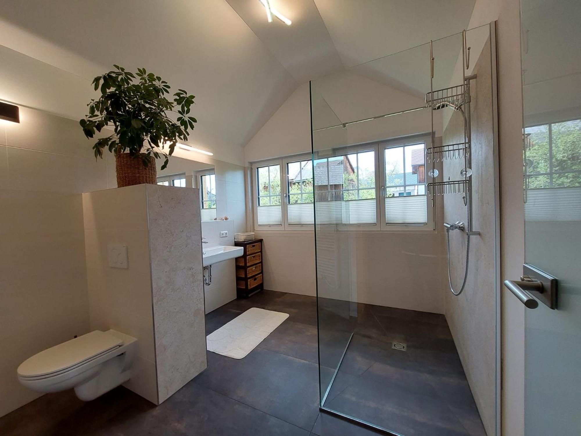 Lovely house with mountain view & big garden in Bad Aussee