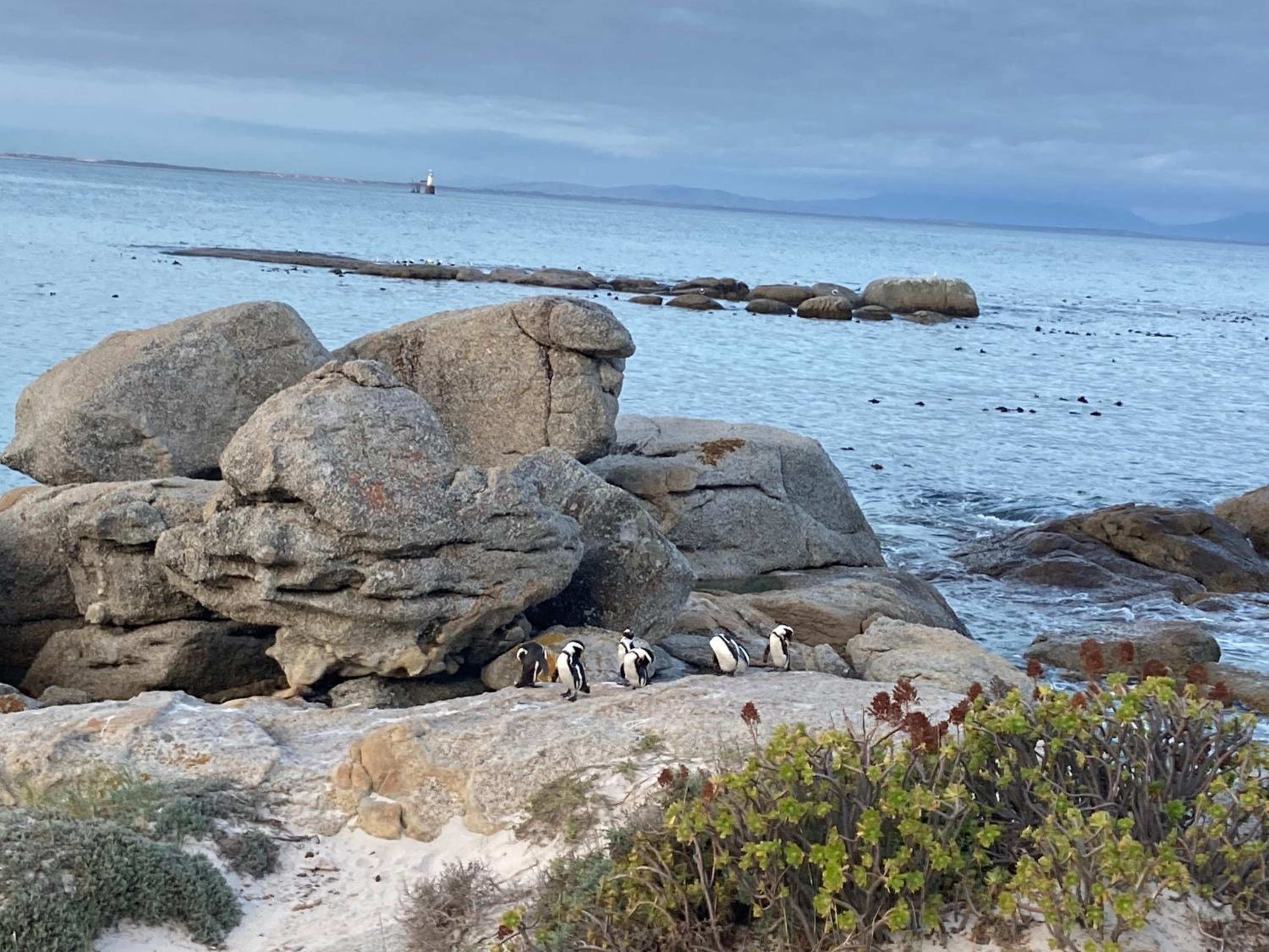 Restore your Soul, Boulders Beach, Seaforth, Simon's Town