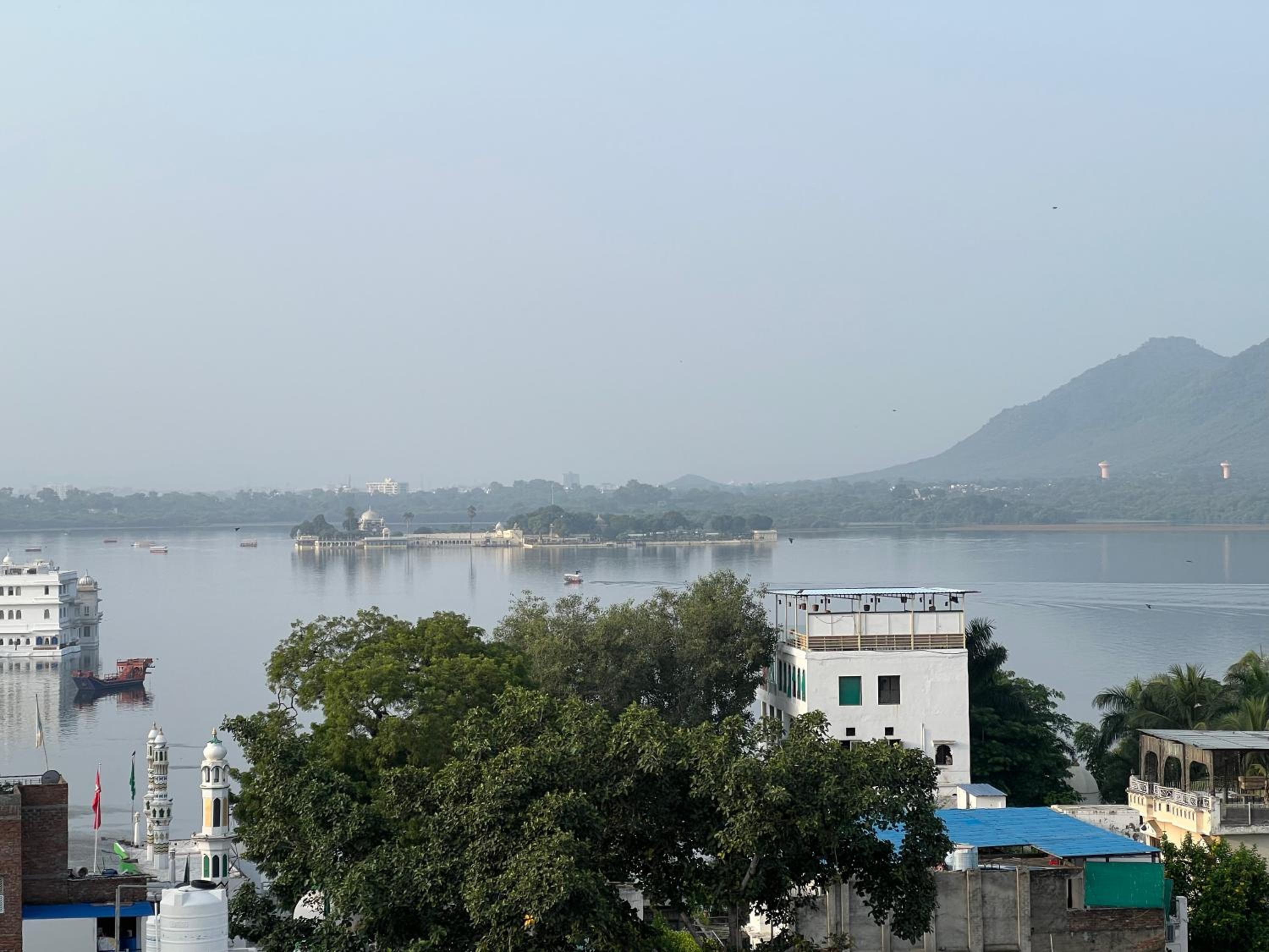 Mild Life Hostel Udaipur