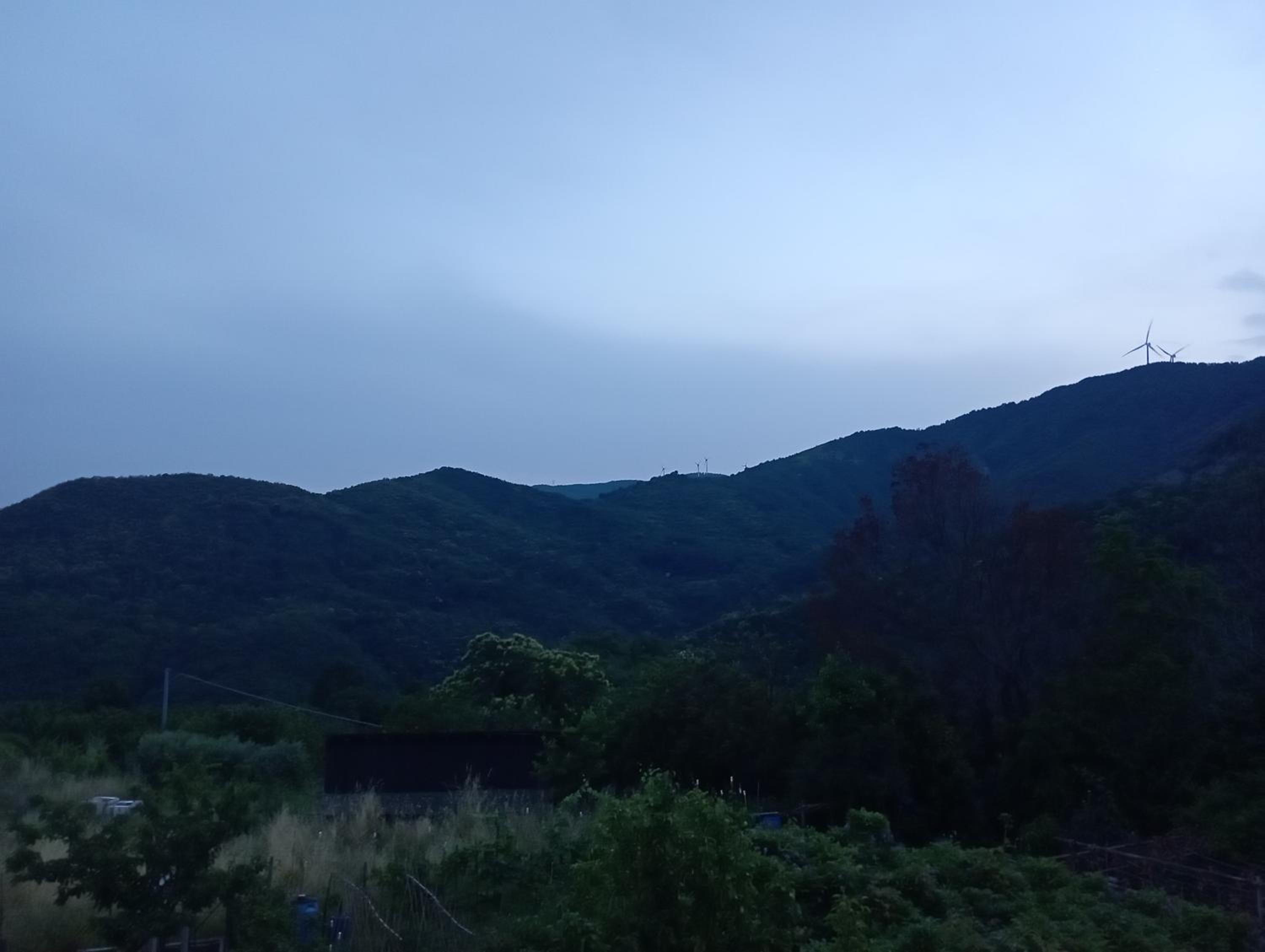 Photo 100