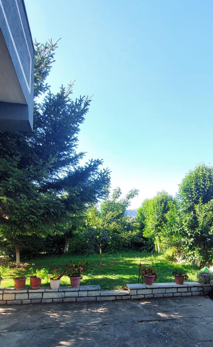 Wild River Guesthouse