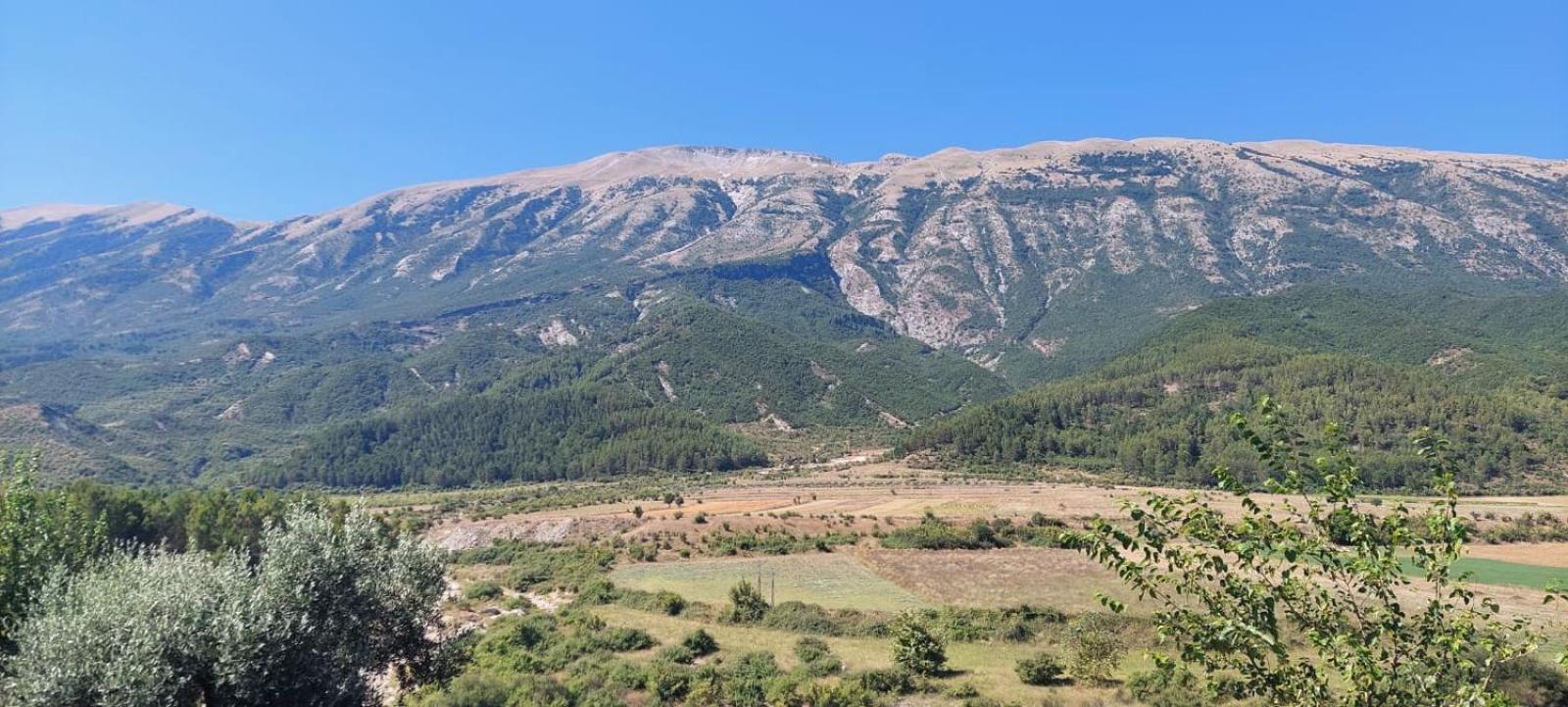 Wild River Guesthouse