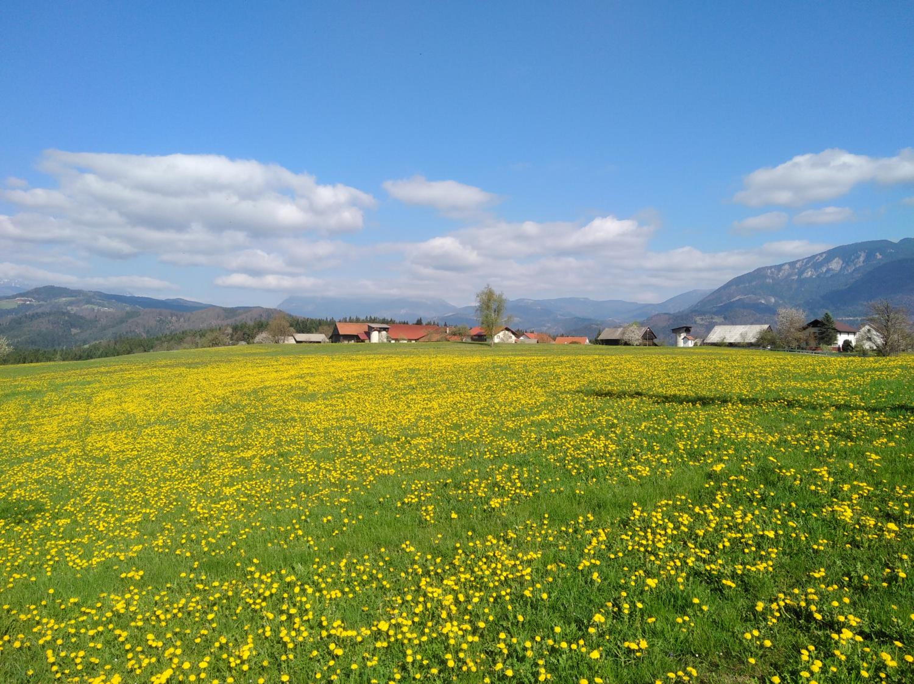 Photo 30
