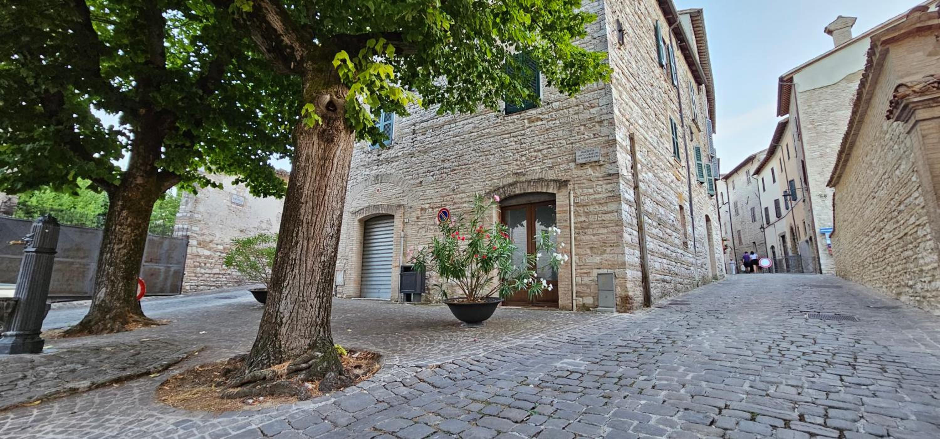 La casa di Francesco photo 3