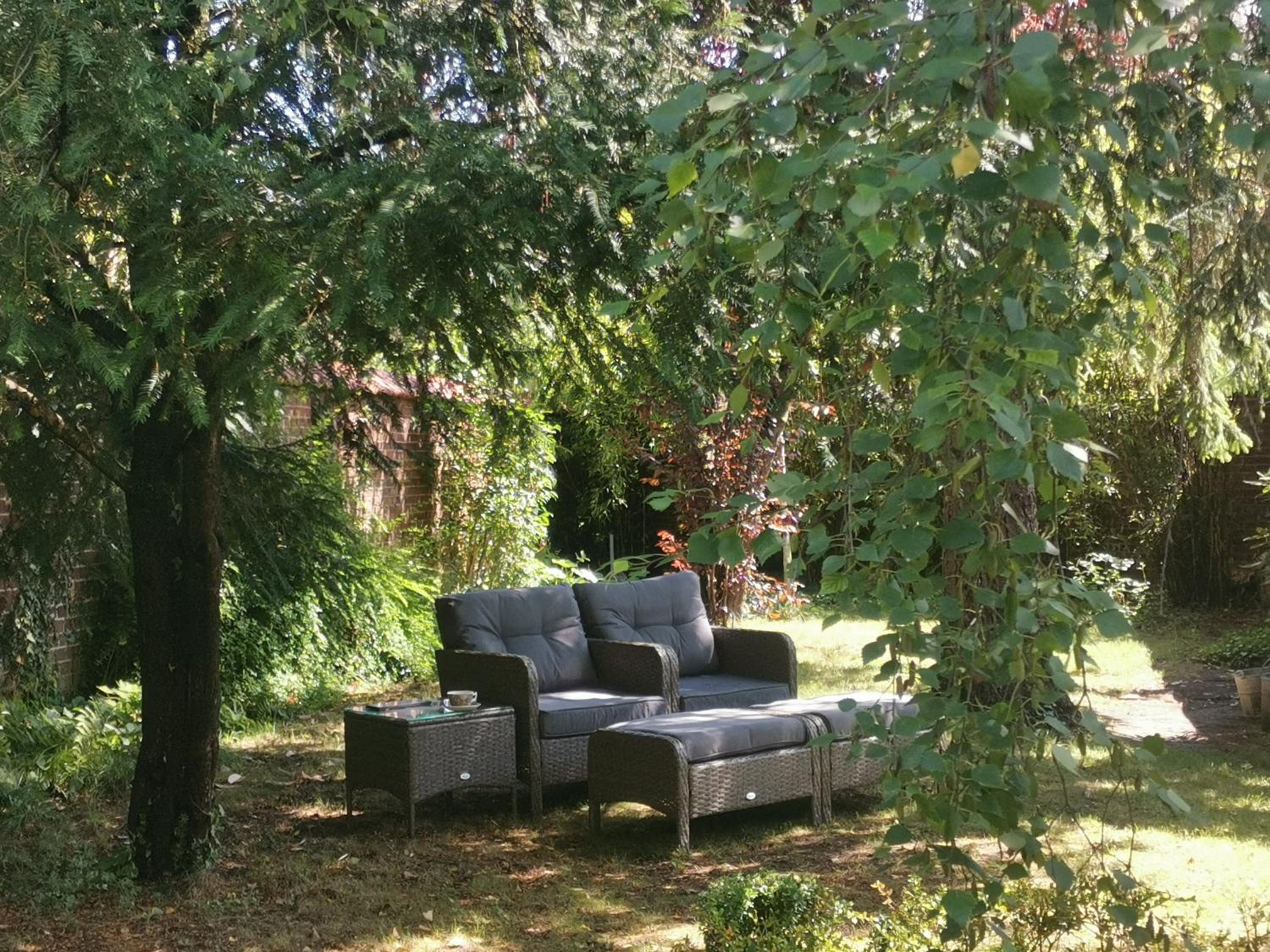 Photo 15