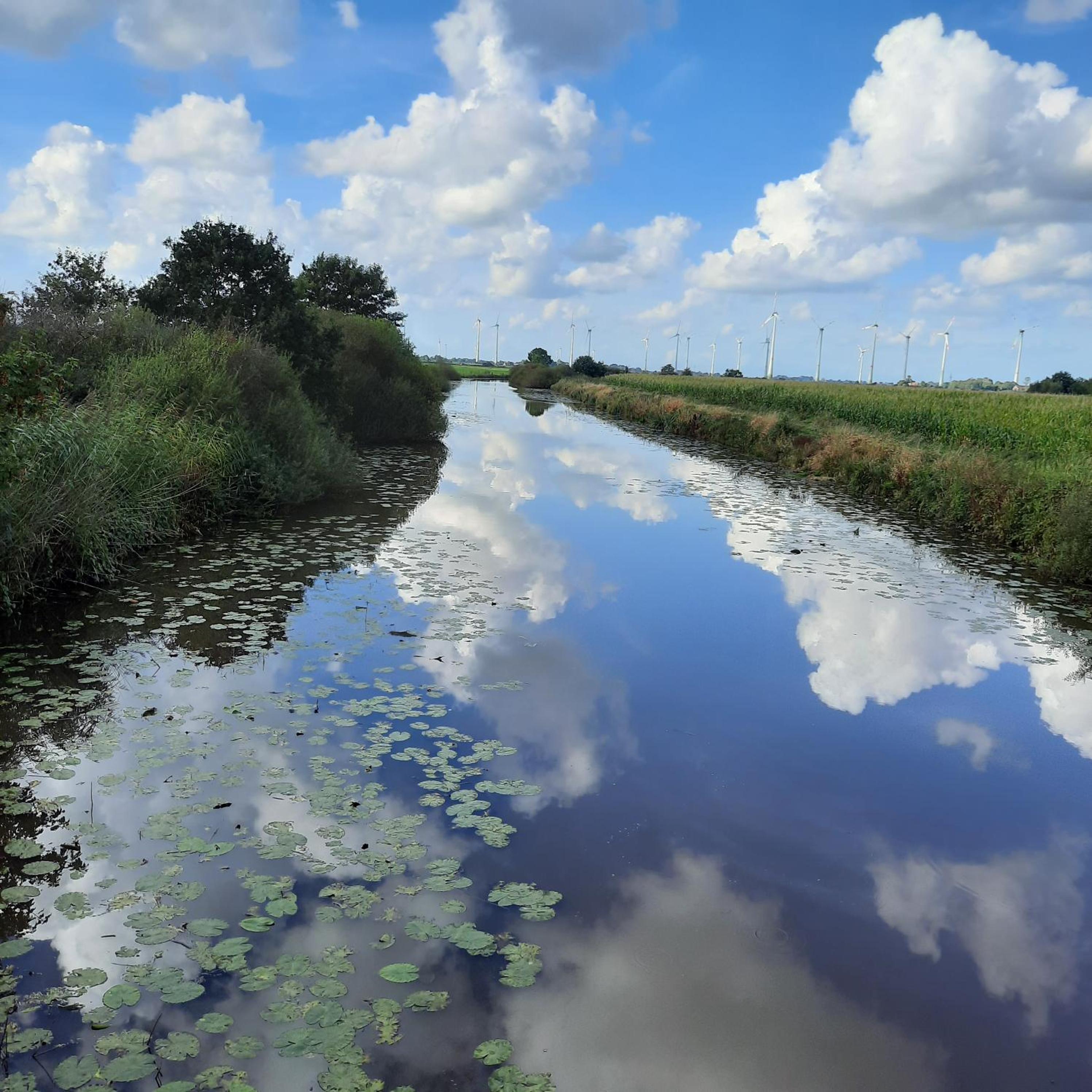 harle-casa.ostfriesland
