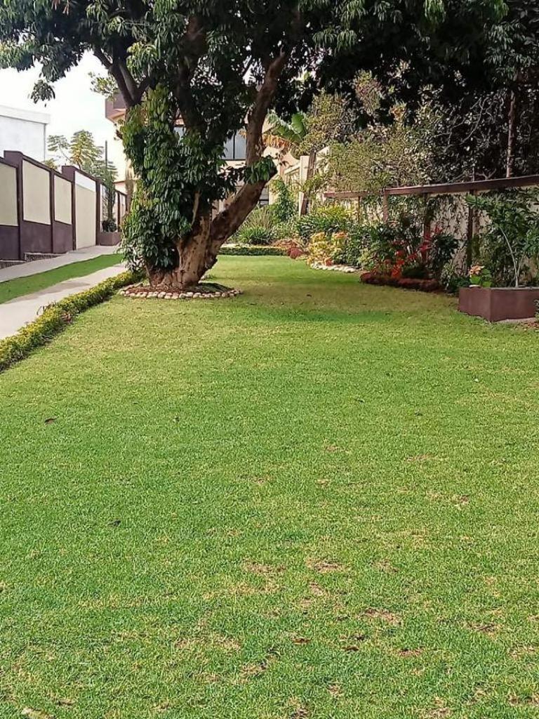 Photo 23